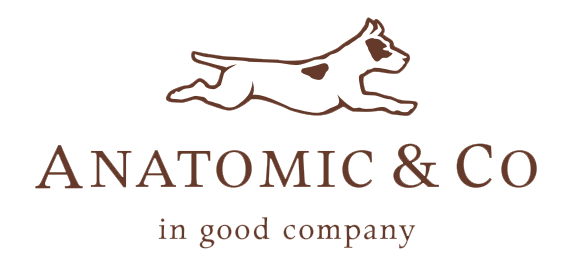 Anatomic & Co by Cresta Holdings