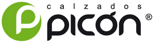 PICON logo.jpg