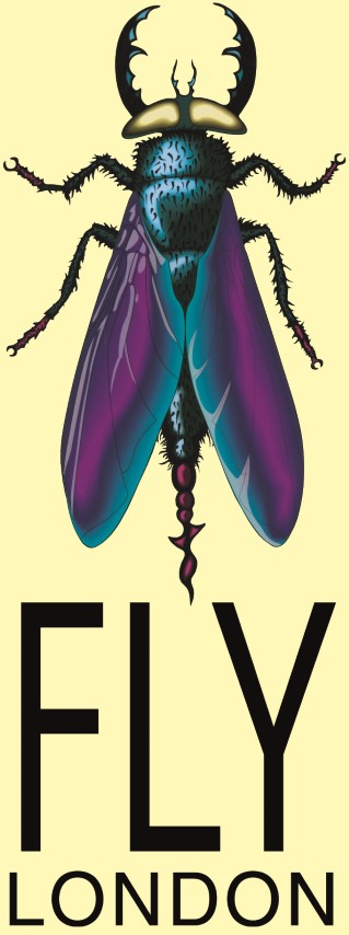 FLY logo (Small).jpg