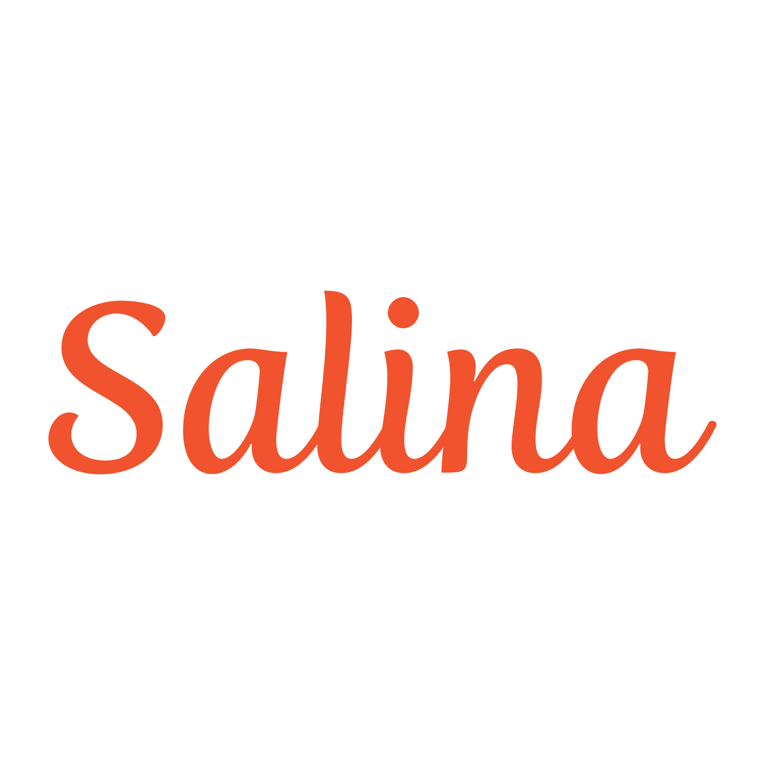 Salina.png