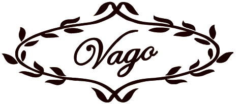 Vago Logo TRANSPARENT background.png