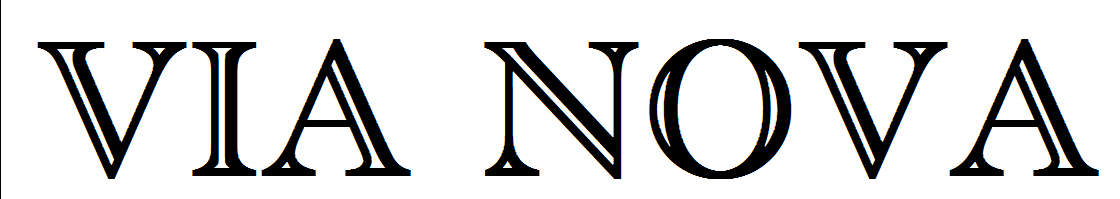 VIA NOVA LOGO.png