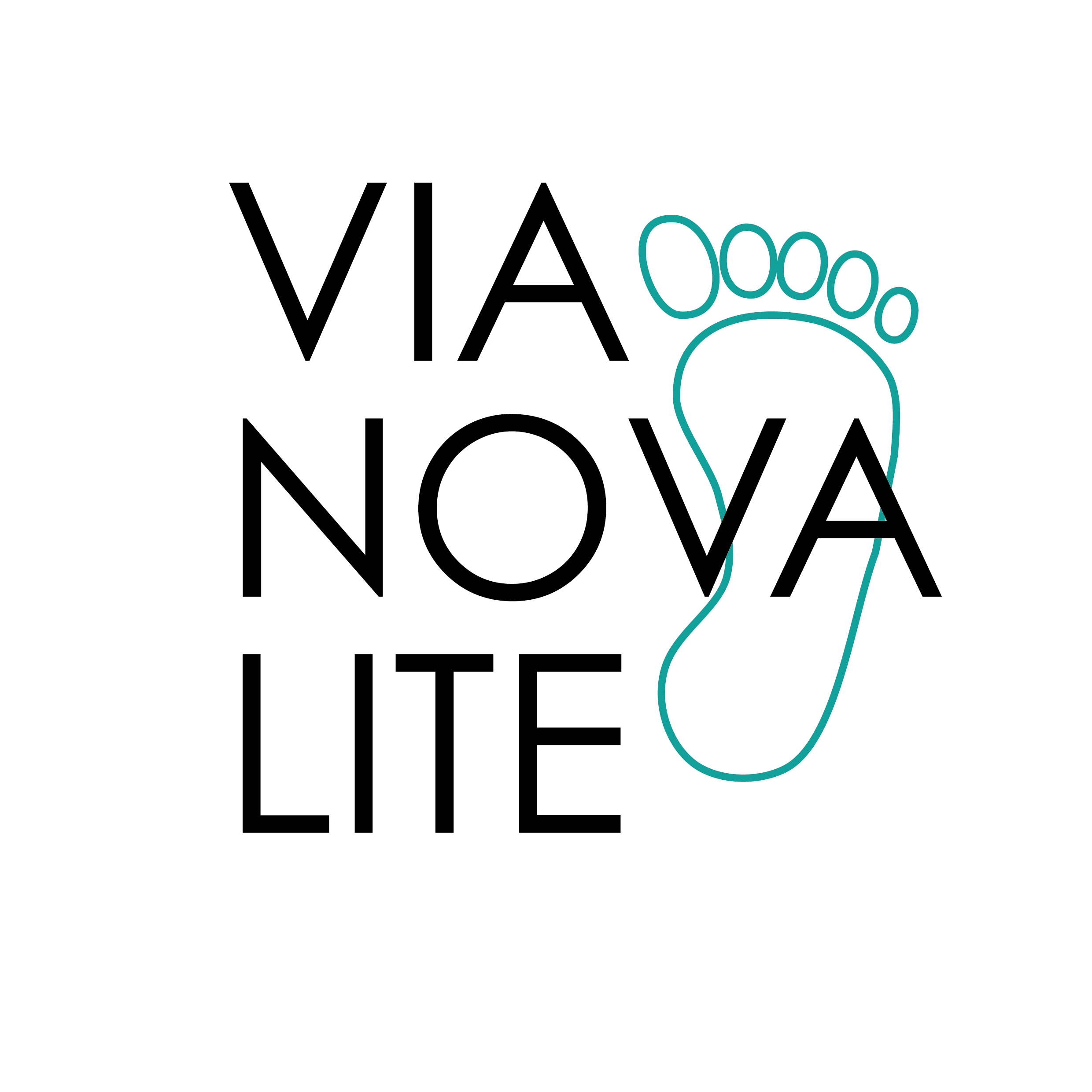 VNL New logo and elements-01.png