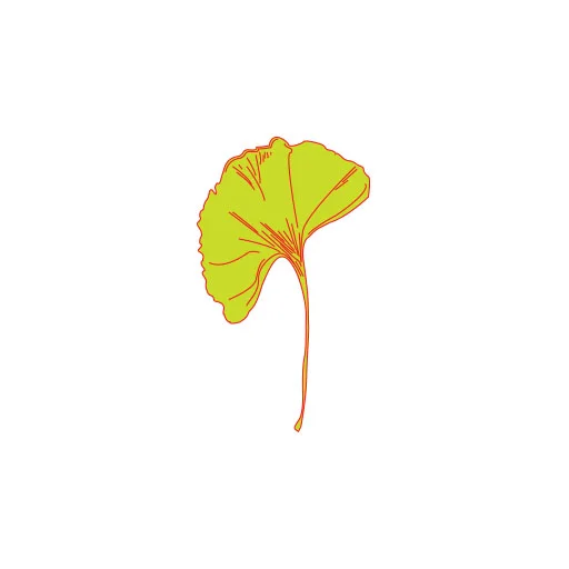 Favicon Mockup .png; 2015