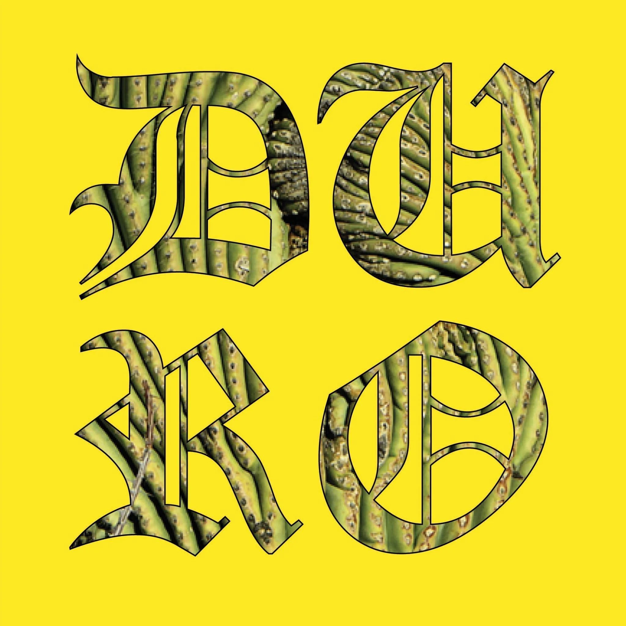 Profile Picture for @DUROchicago; 2017