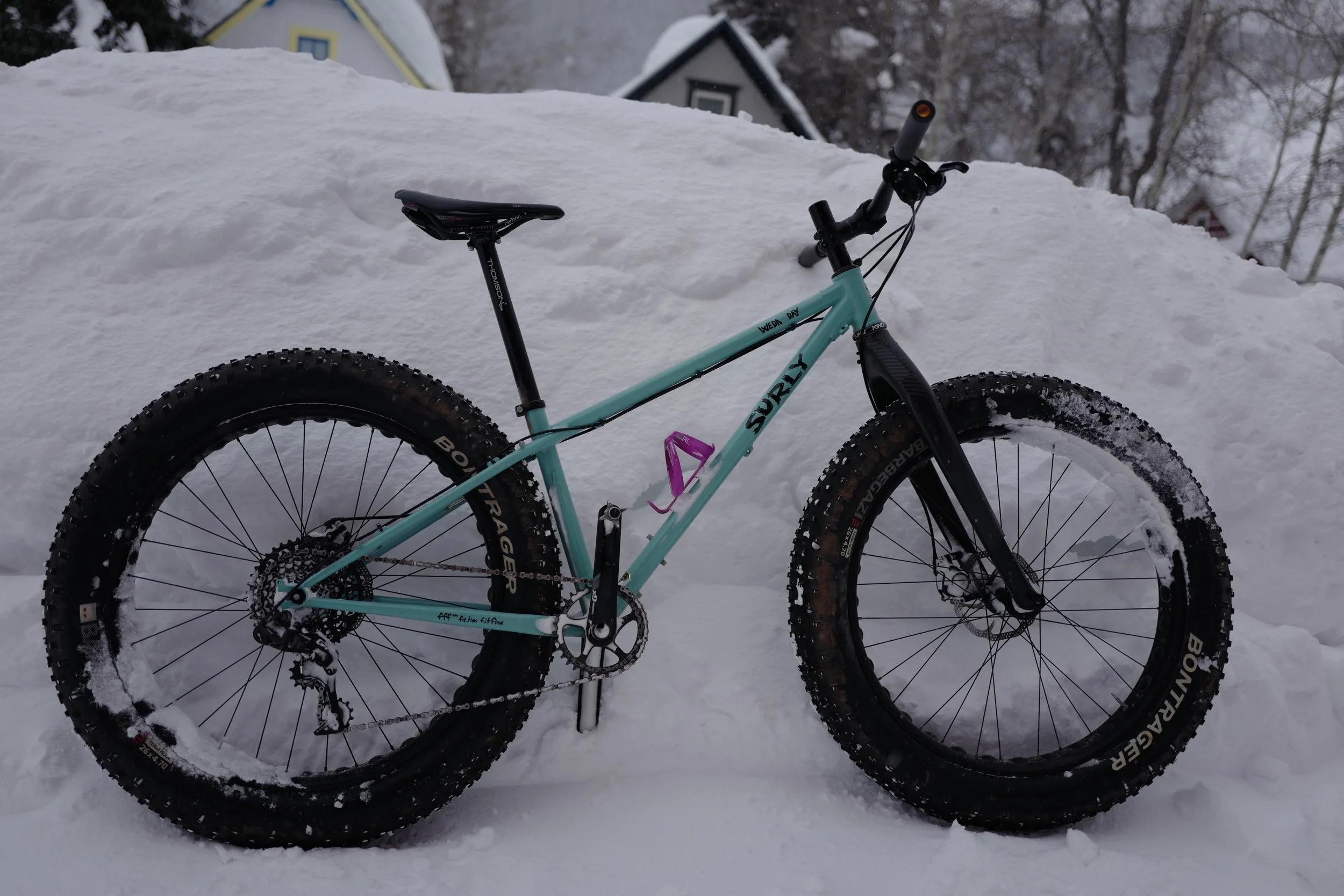 Crystal's Surly Wednesday. Ready for all the snow.