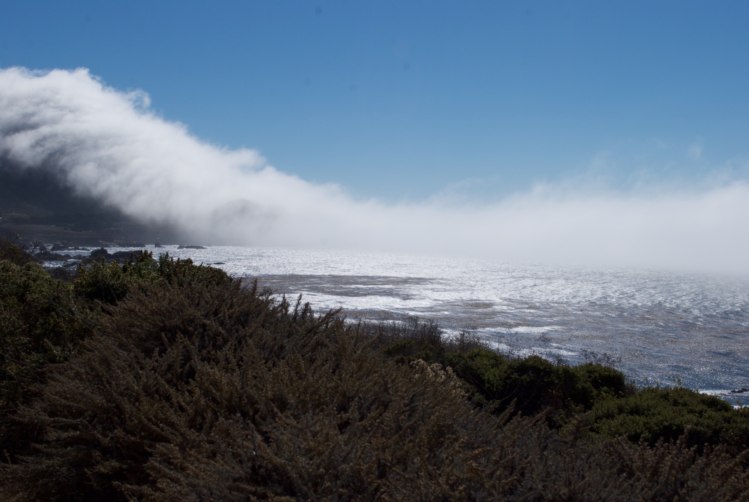 DSC_0469.jpg