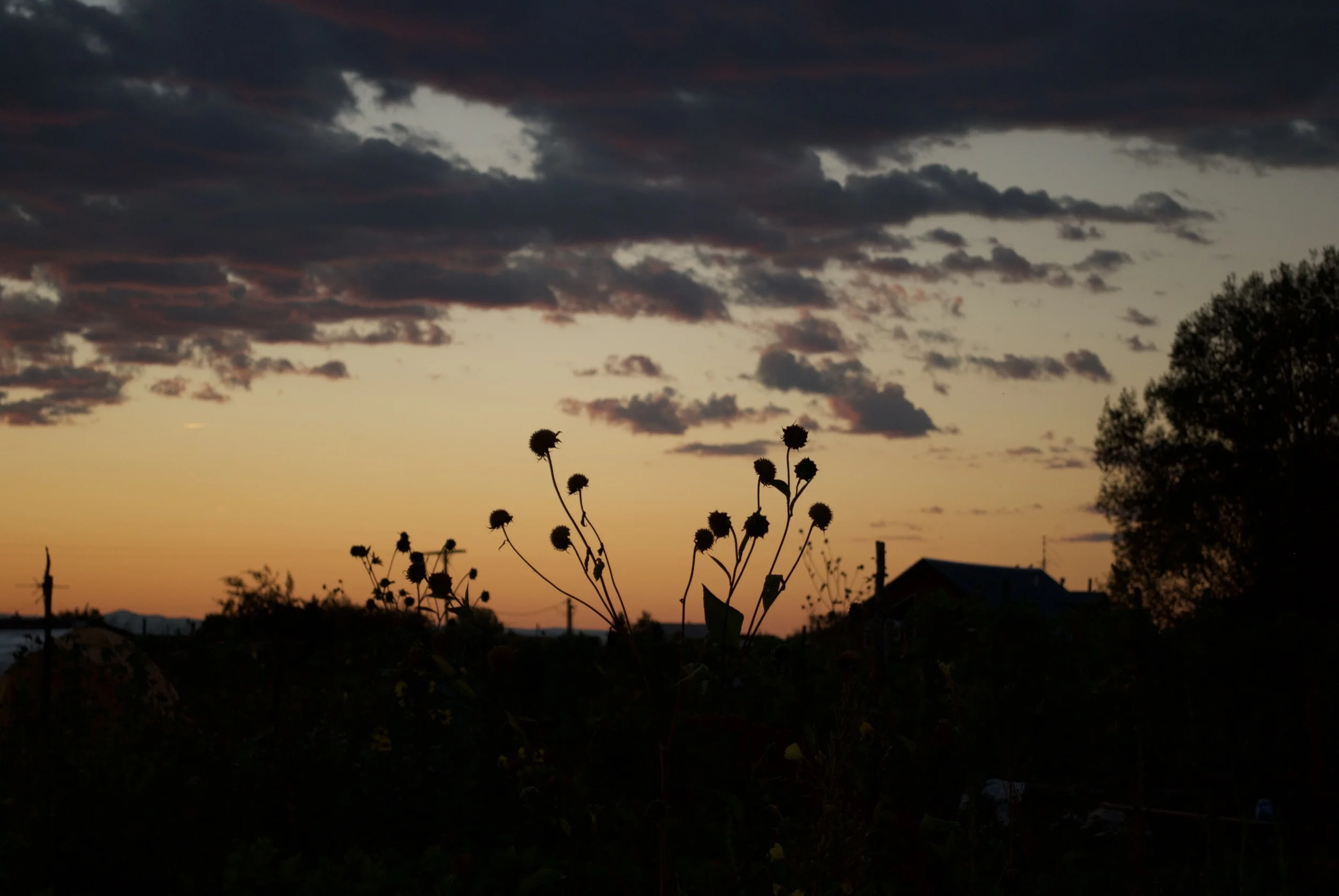 DSC_0070.jpg