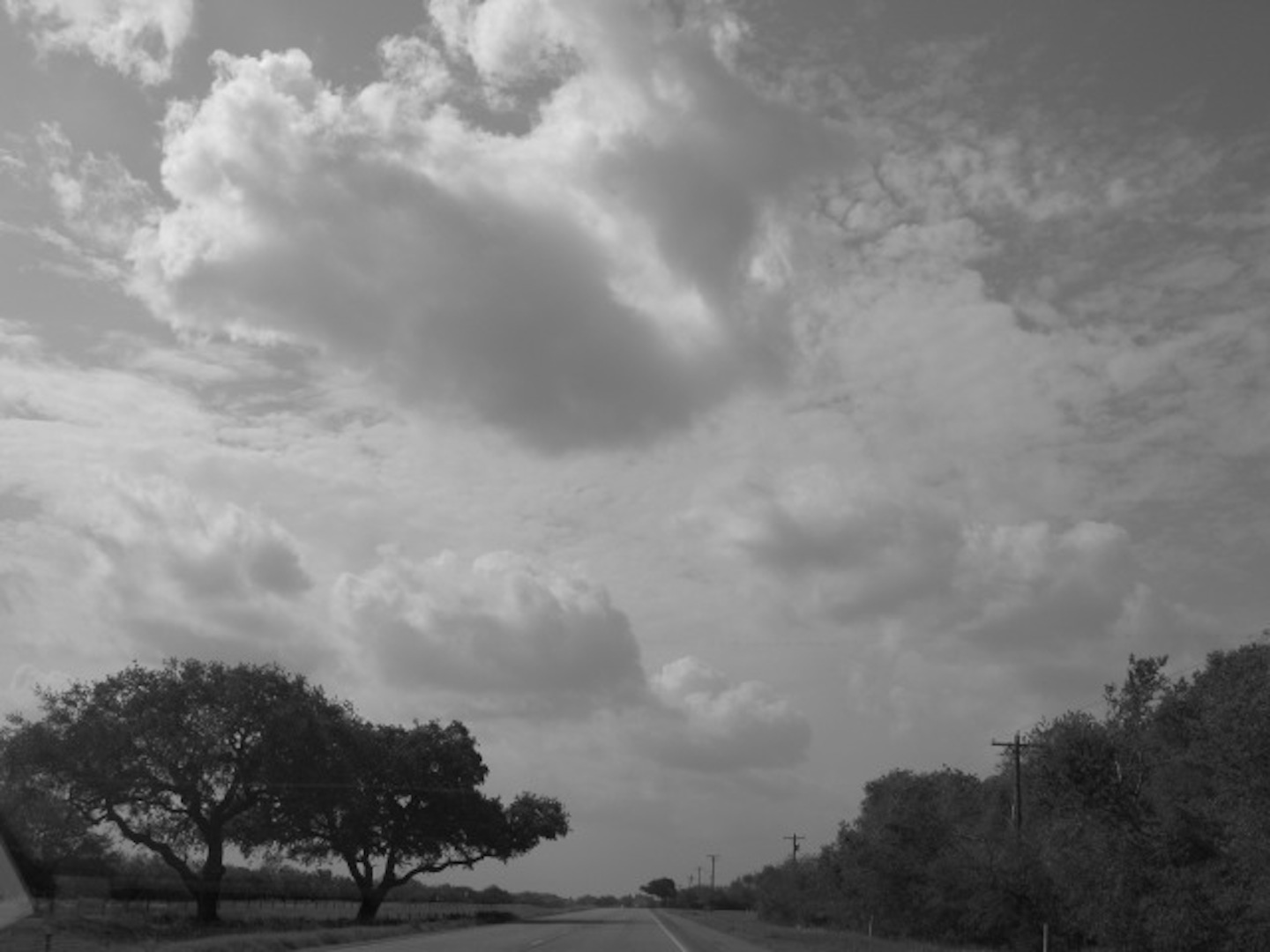 3-wilderness plains.JPG