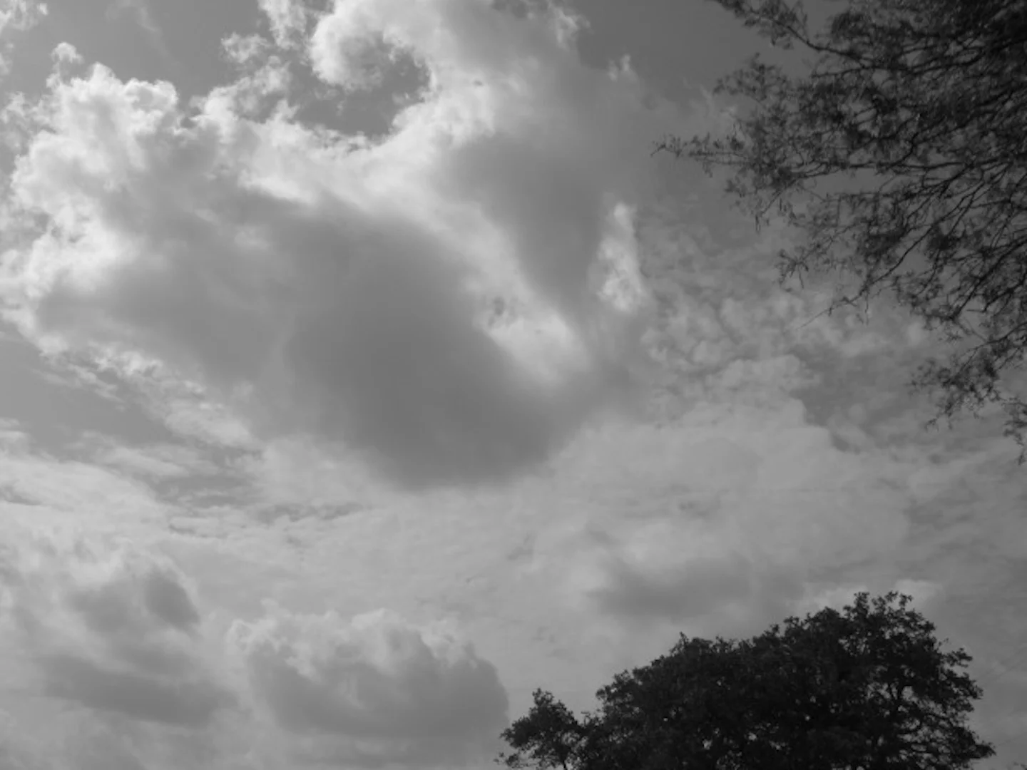 4-it's all heaven to me.JPG