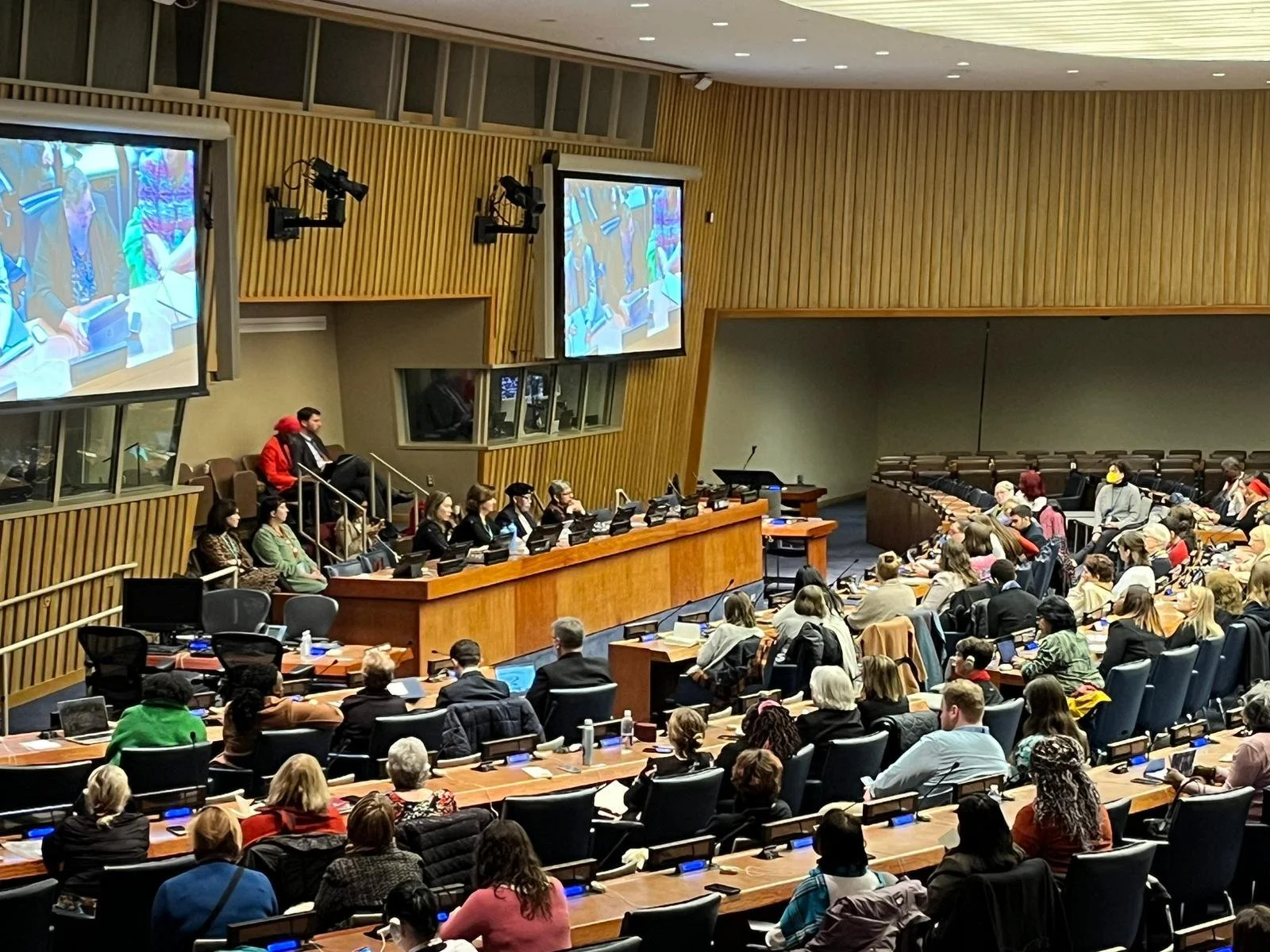 Representative on United Nations Commission on Status of Women 67