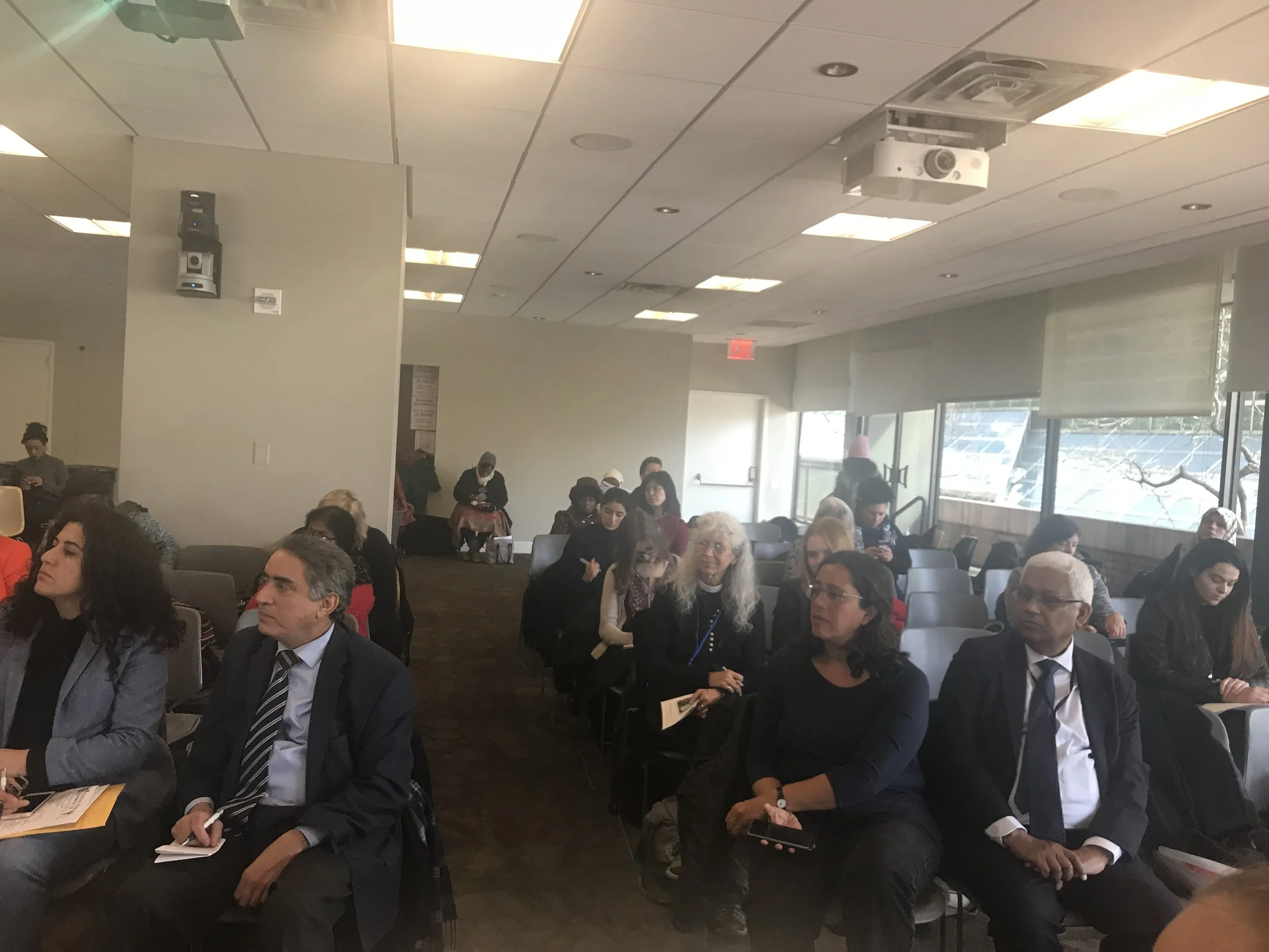 United Nations Commission on Status of Women         