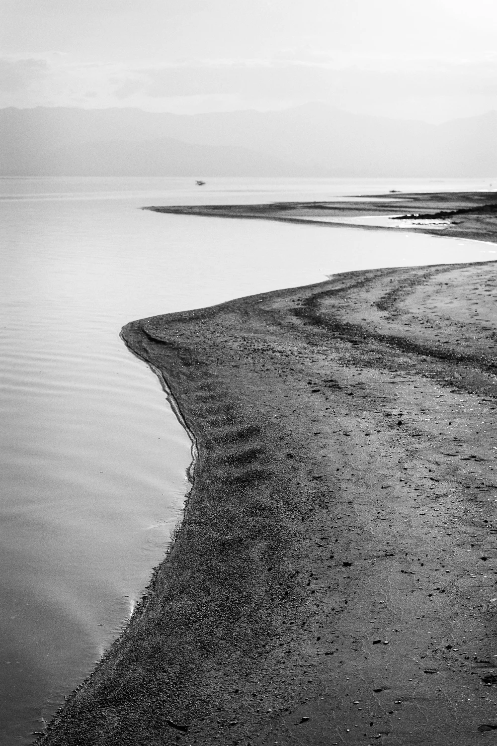IMG_3493-final-bw.jpg
