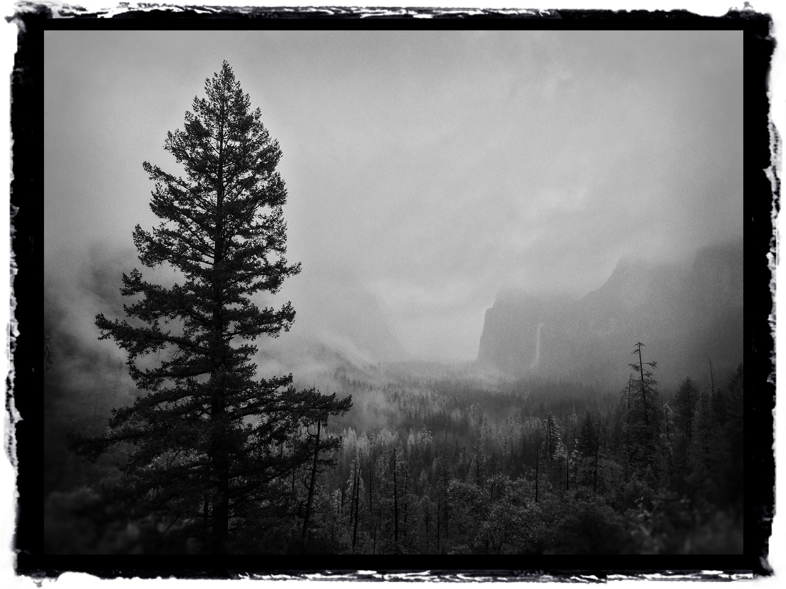 Print • Tunnel View of Yosemite