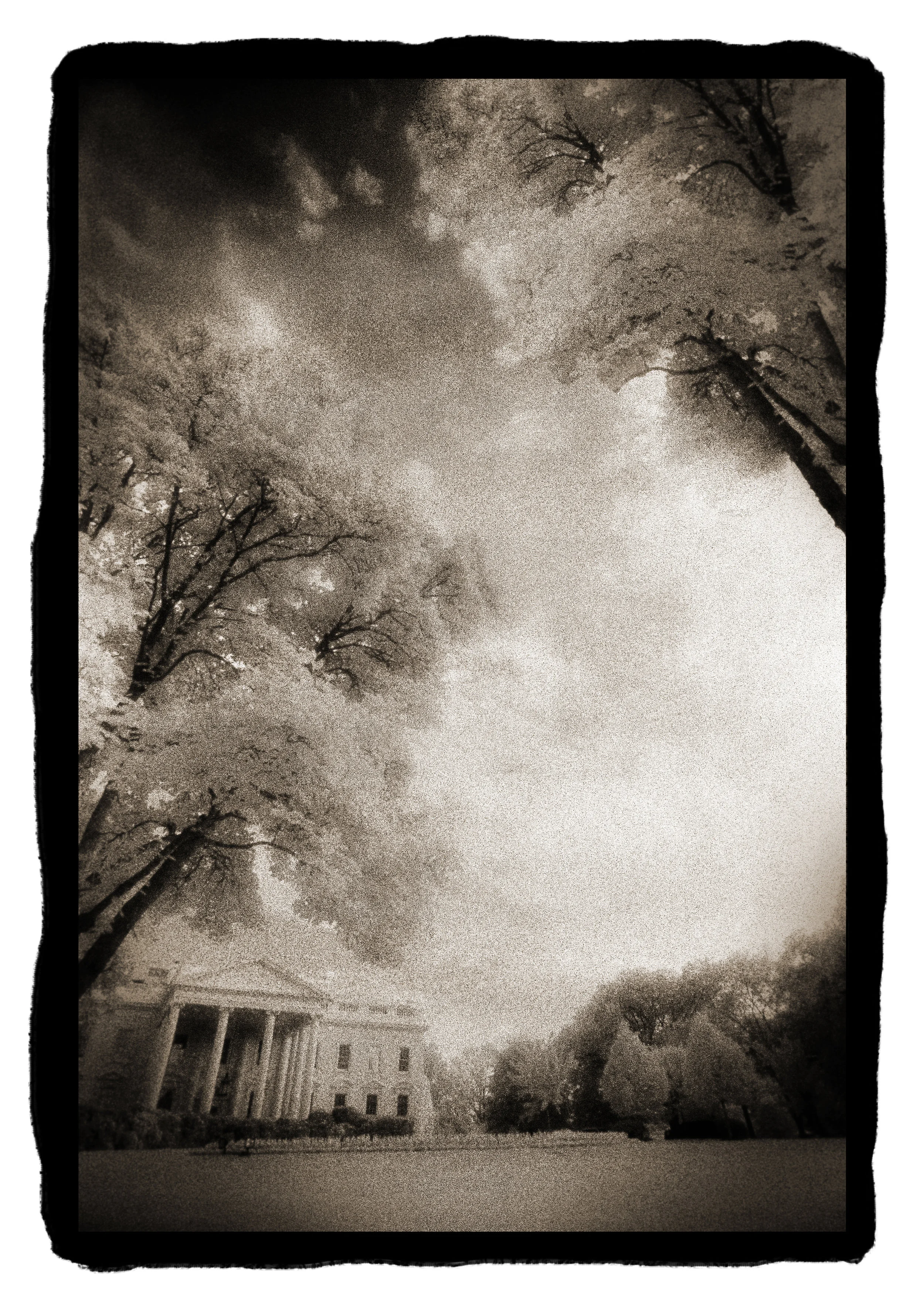 Print - White House