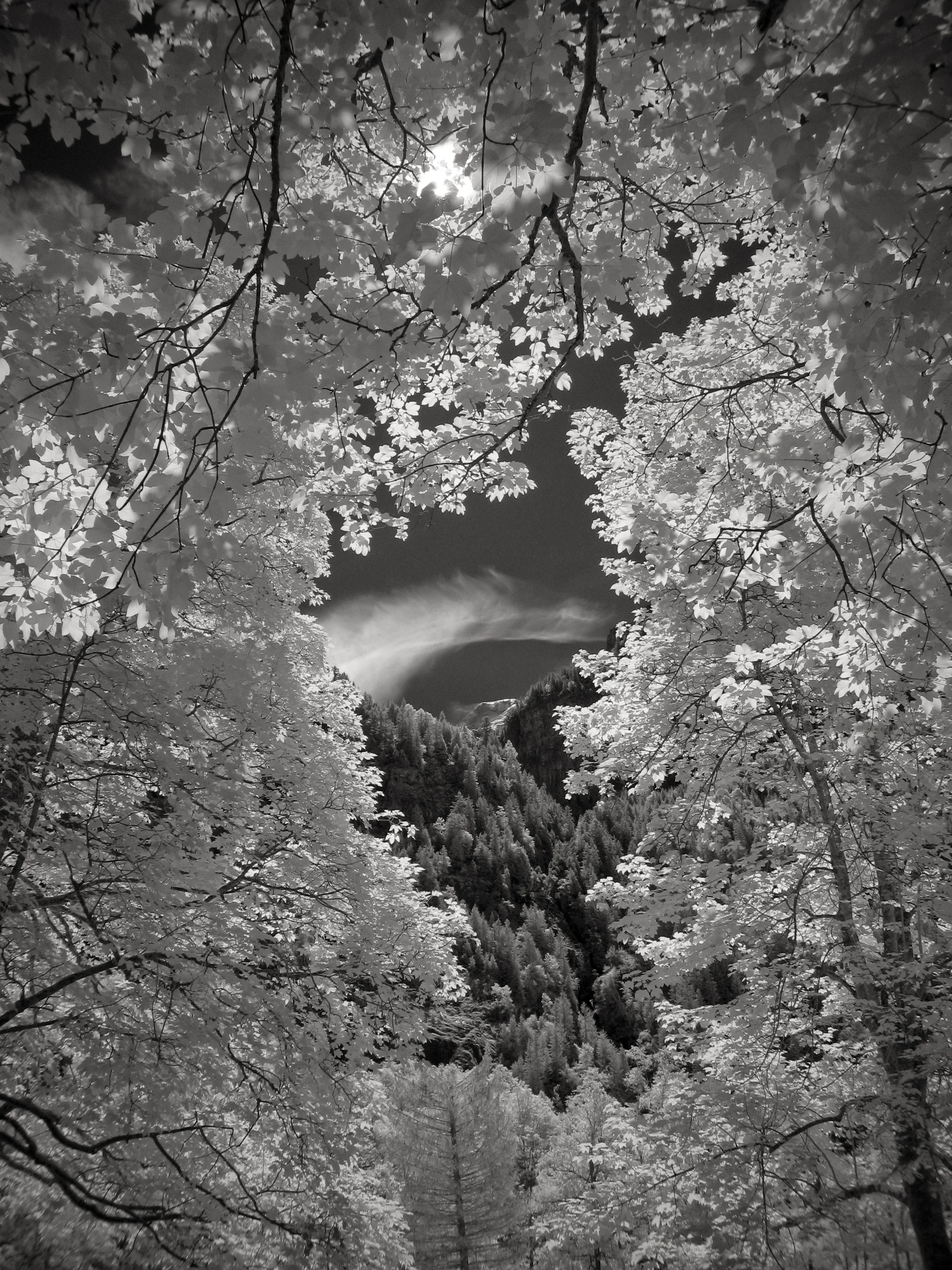 Print - Lauterbrunnen, Swiss Alps