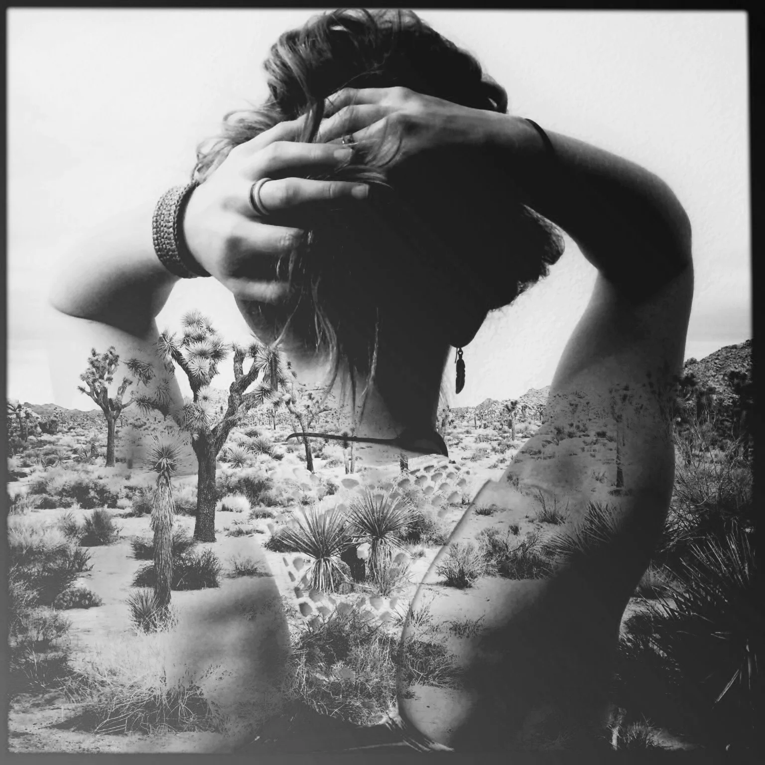 Print - One with Nature