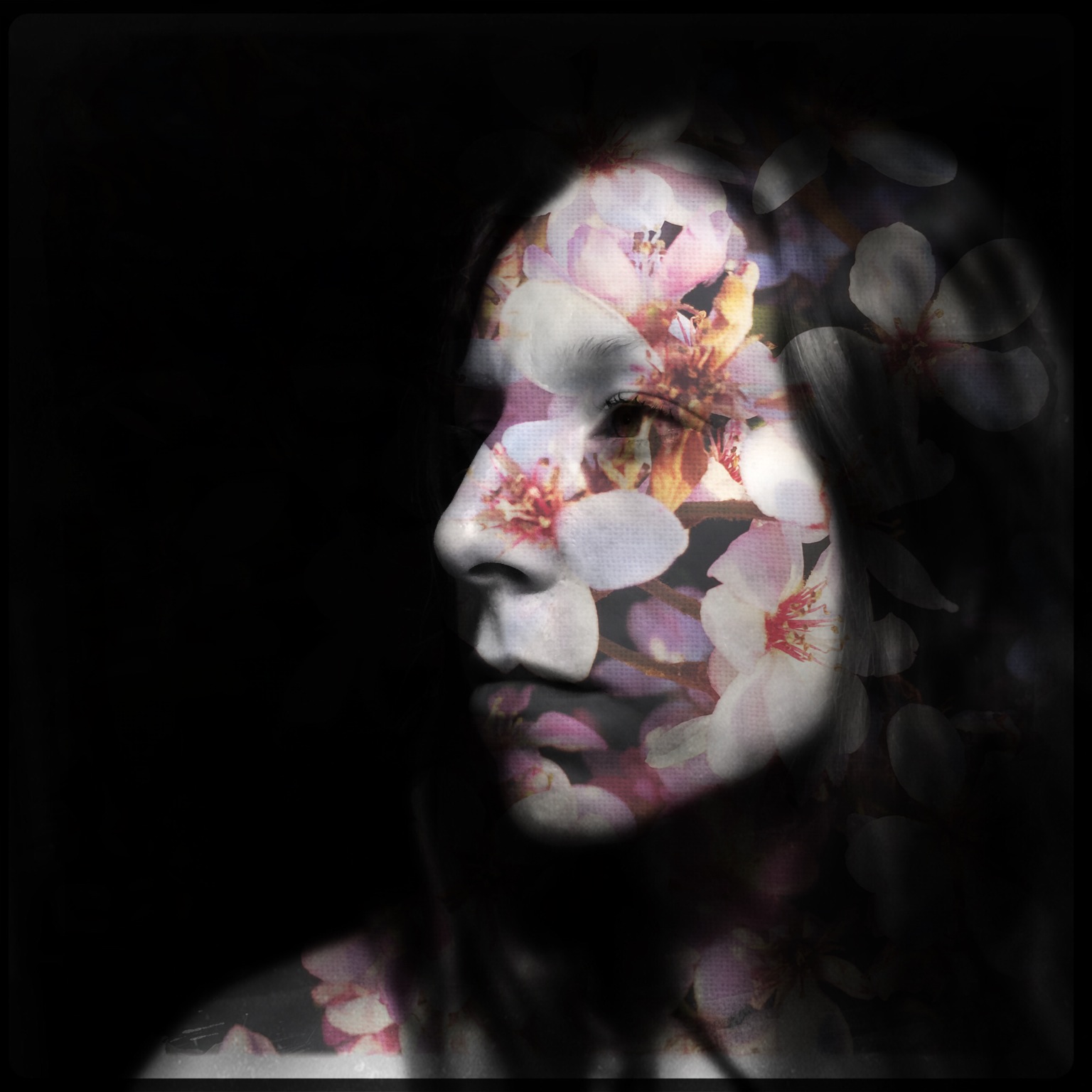 Print - Flower Child • Flower Series