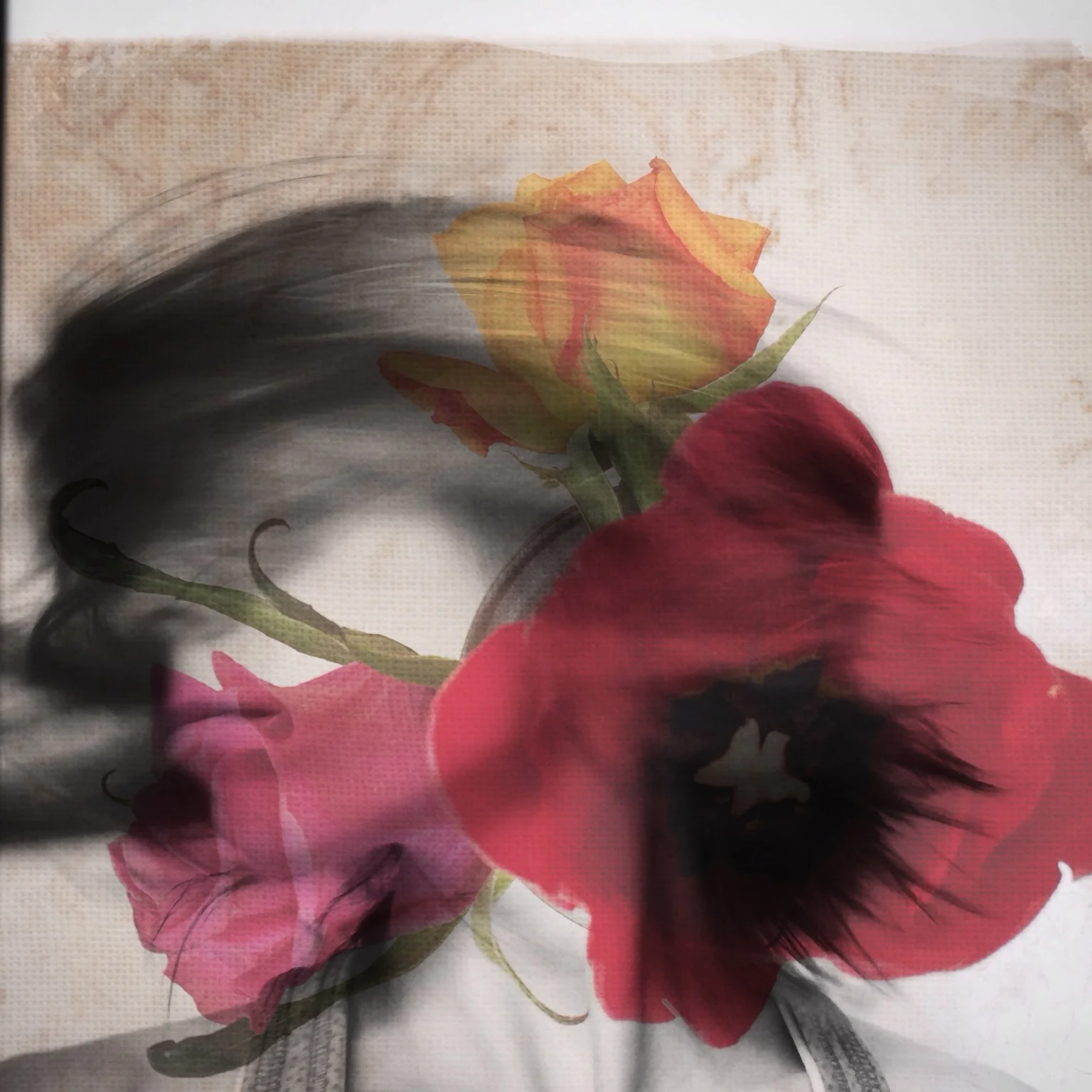Print - Slow Flow • Flower Series
