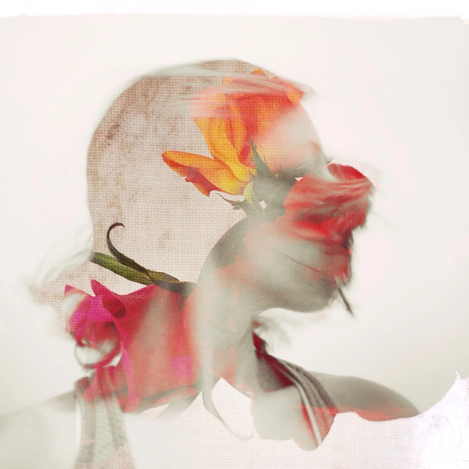 Print - Whiplash • Flower Series
