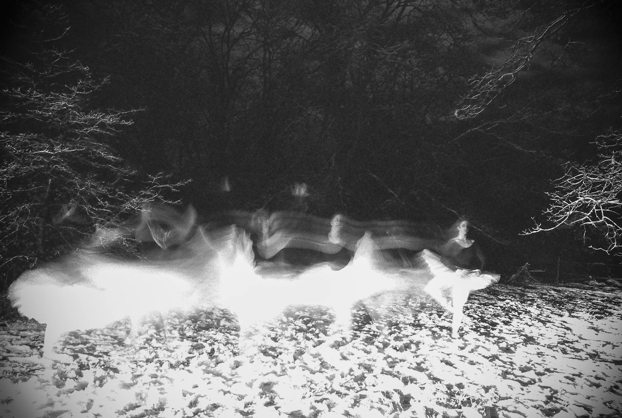 Print - Ballet in the Mountains • Laguna Mountains