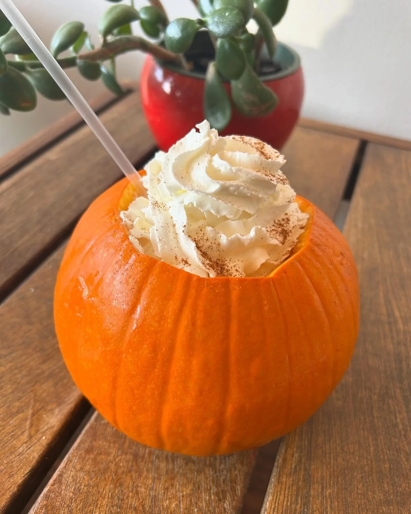 The fall spirt got to us a little extra this year and for a very limited time we are offering large iced white chocolate pumpkin lattes and pumpkin spice lattes in actual pumpkins!  If you would like to reserve one you can DM us a day in advance and 