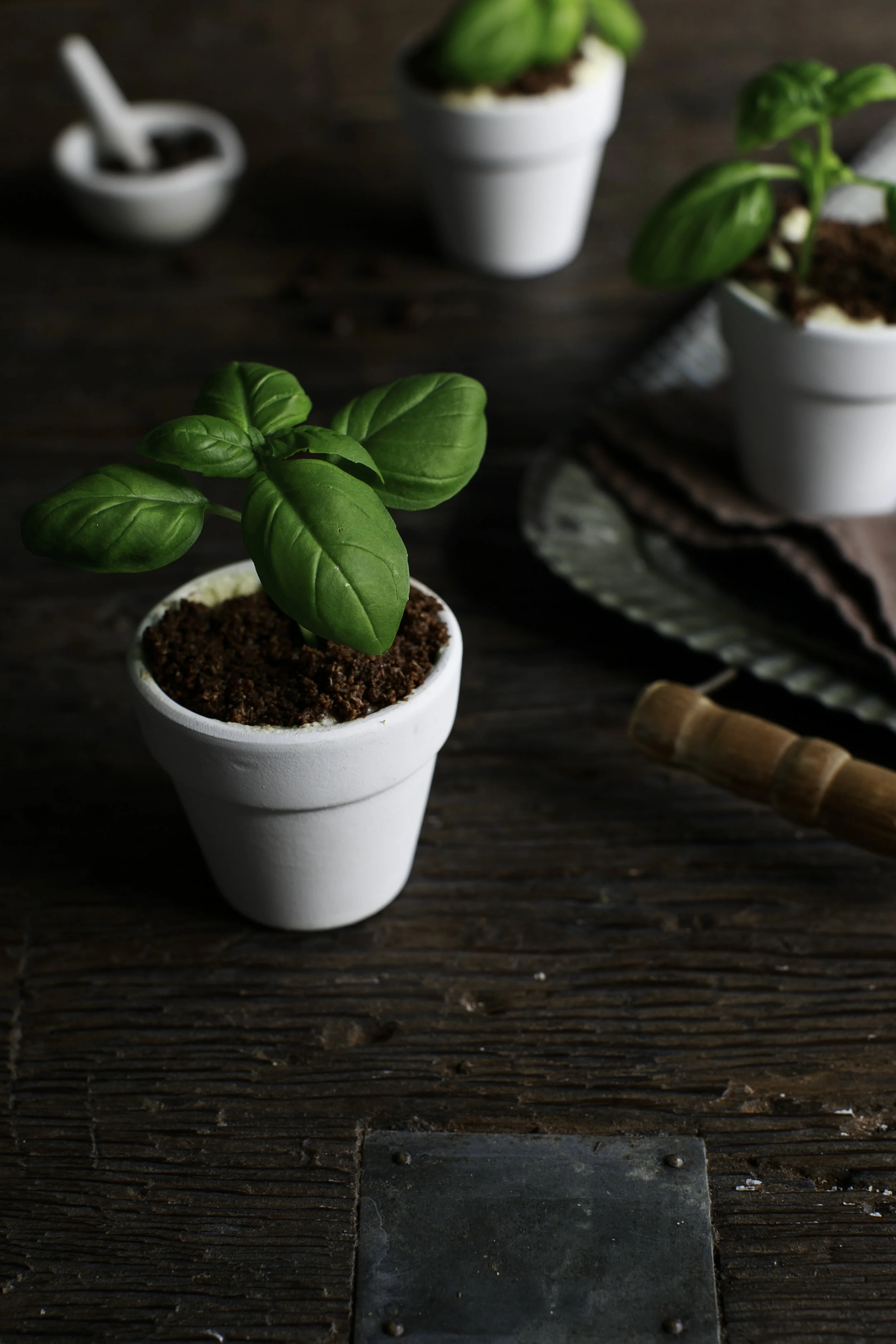 Potted Tiramisu