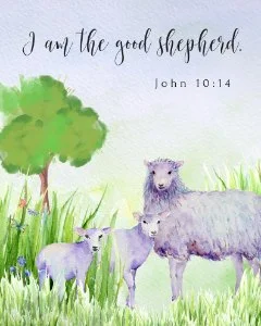 the good shepherd resized for website.jpg