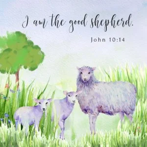 the good shepherd resized.jpg