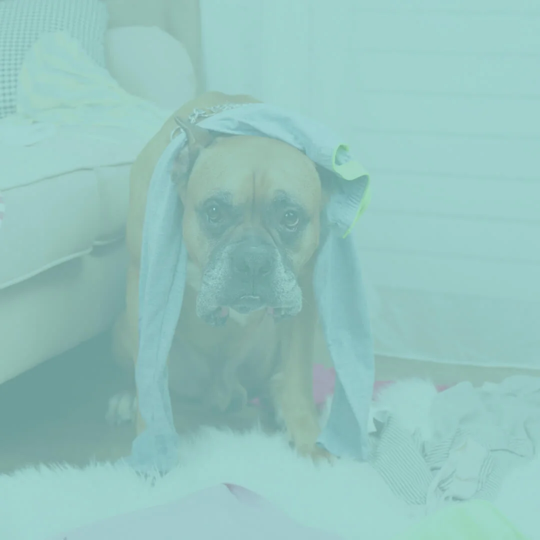 5 Things to Remember When &nbsp;Getting Organized Makes You Feel Like a Failure