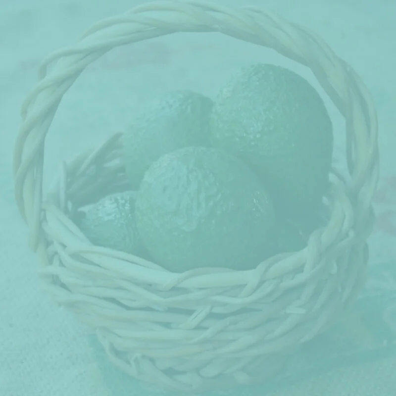 What is "Health" Anyway?  5 habits of physical health