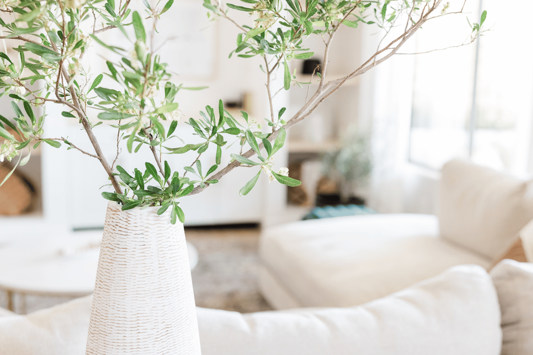 Calm home with greenery