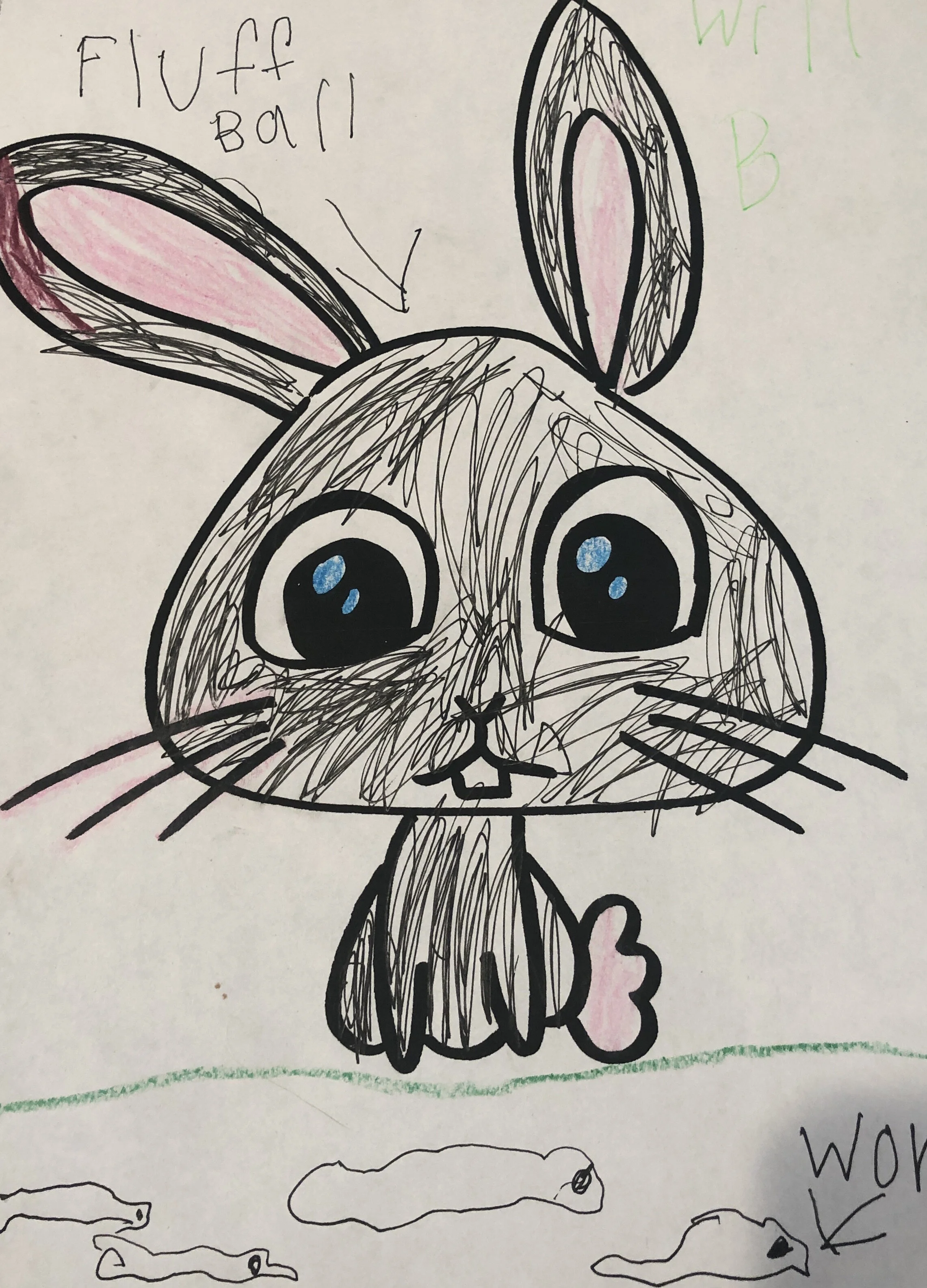 Bunny_4-15-20 - Eli Bostian.JPG