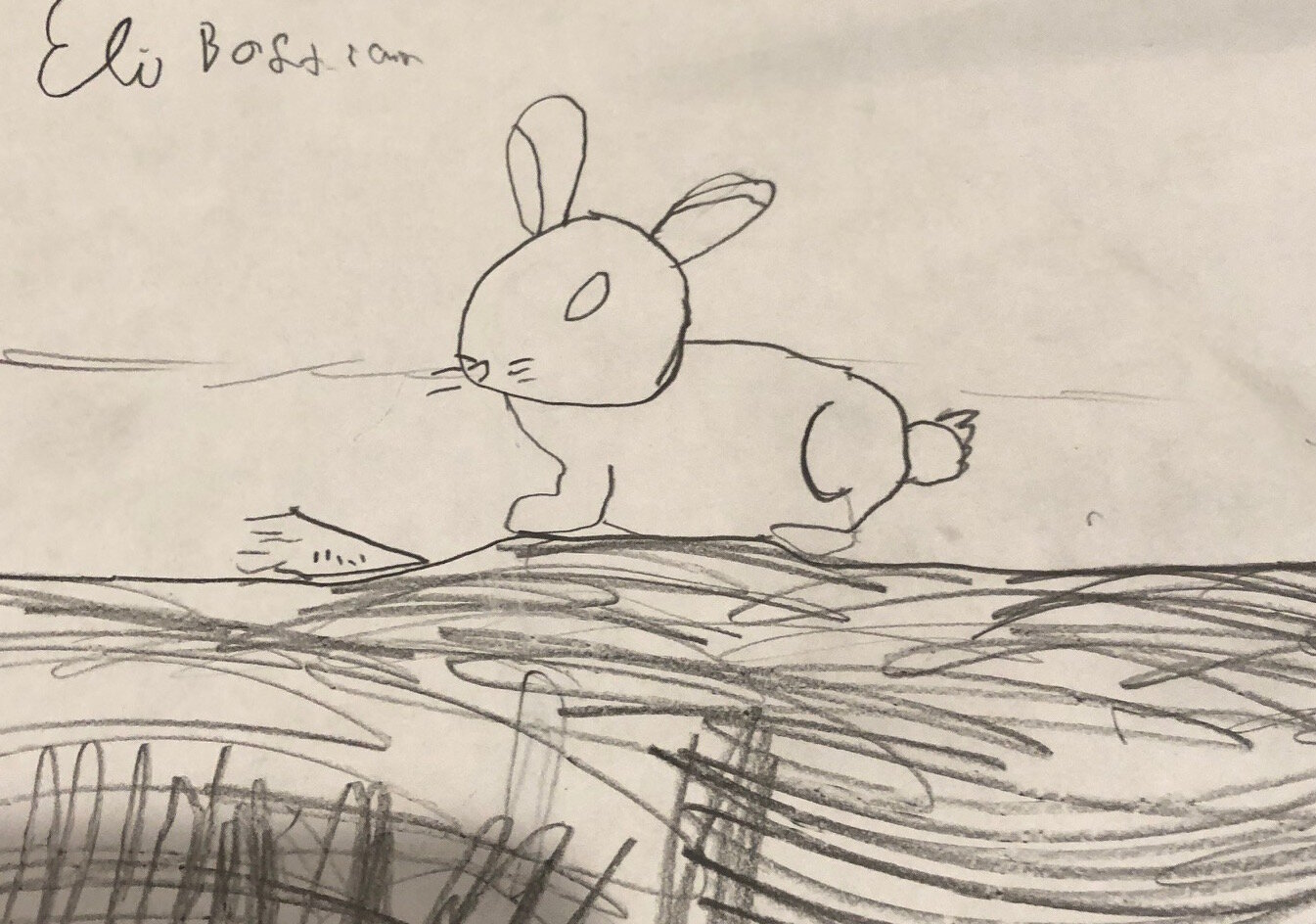 Bunny4-13-20 - Eli Bostian.JPG