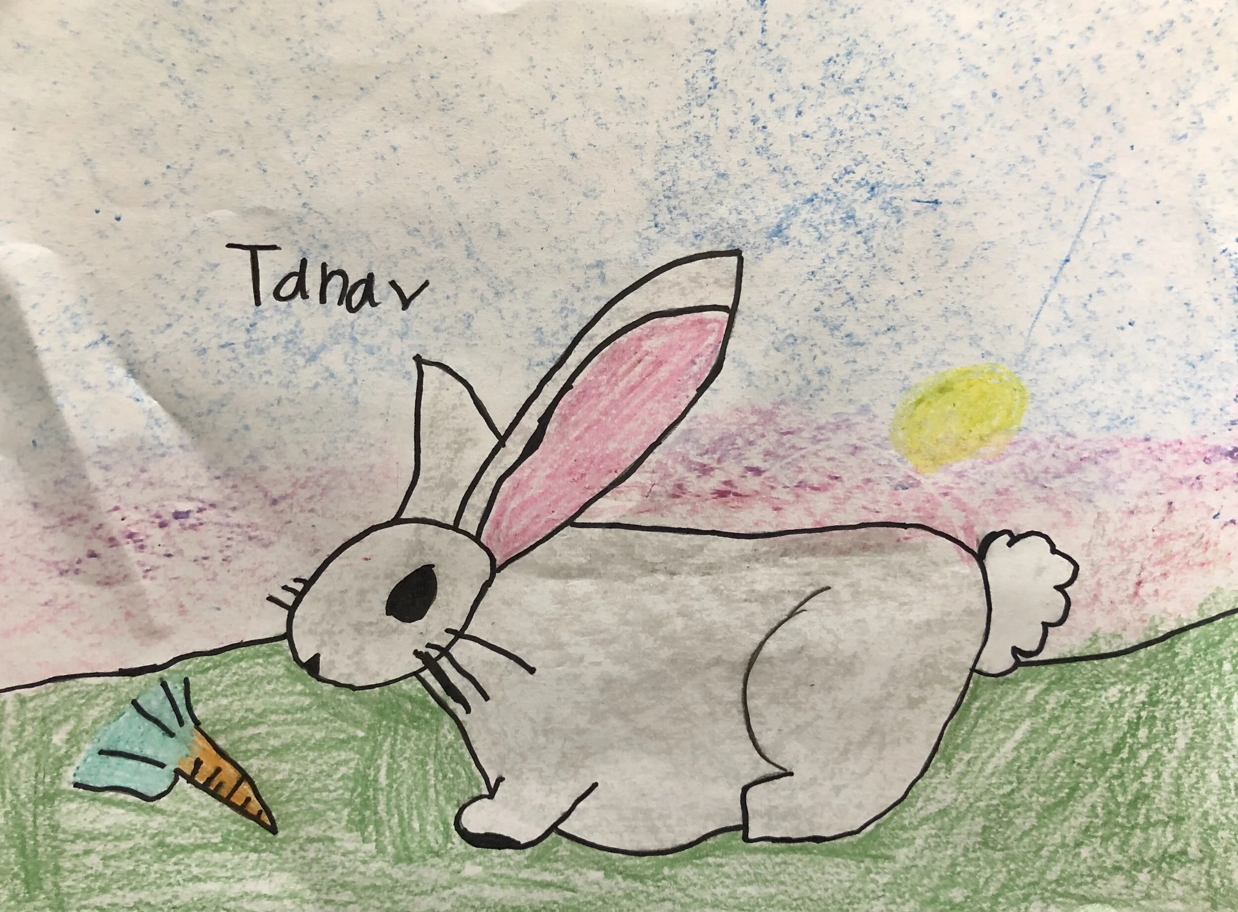 IMG_1664 - Tanav Patkar.jpg