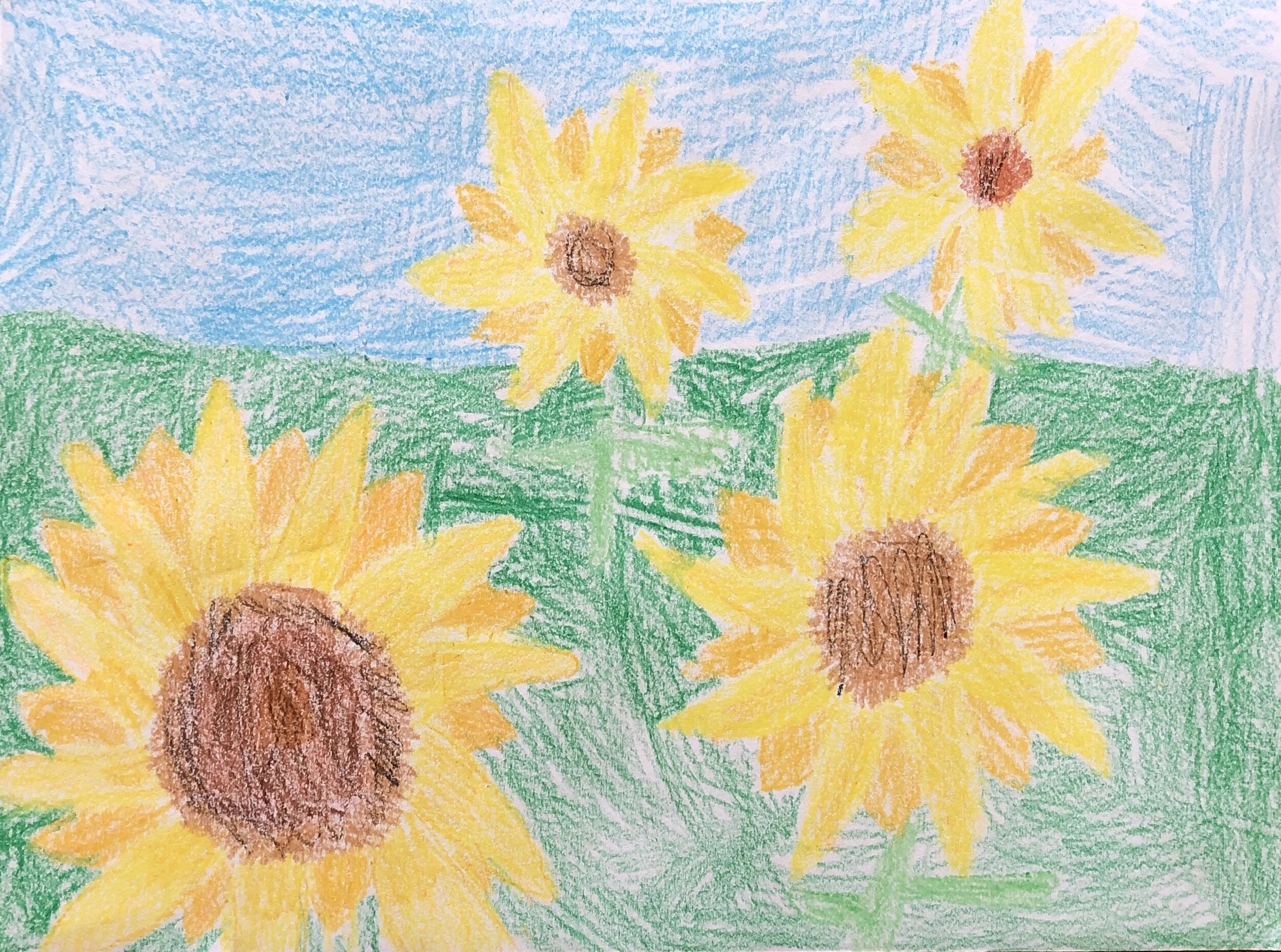 Sunflowers - Amelia Weiner.JPG
