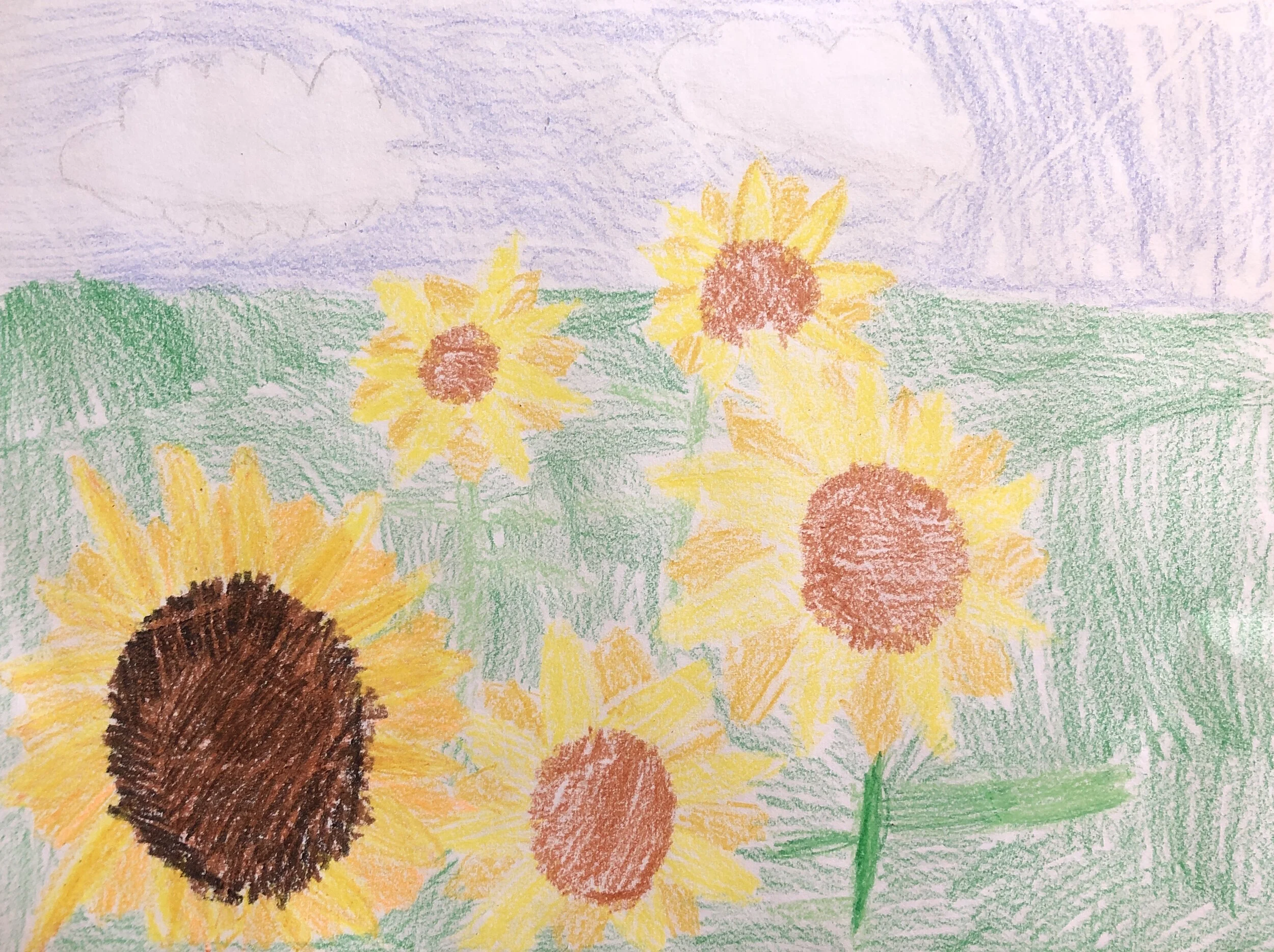 Sunflowers - Jacob Weiner.JPG