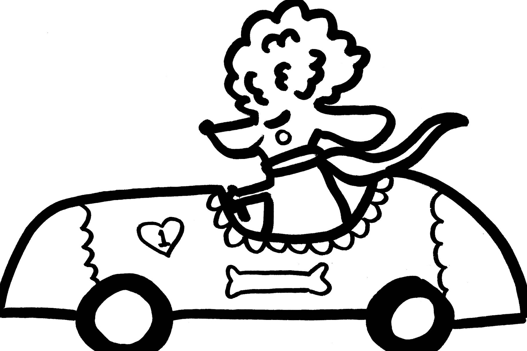 Poodle in Car.png