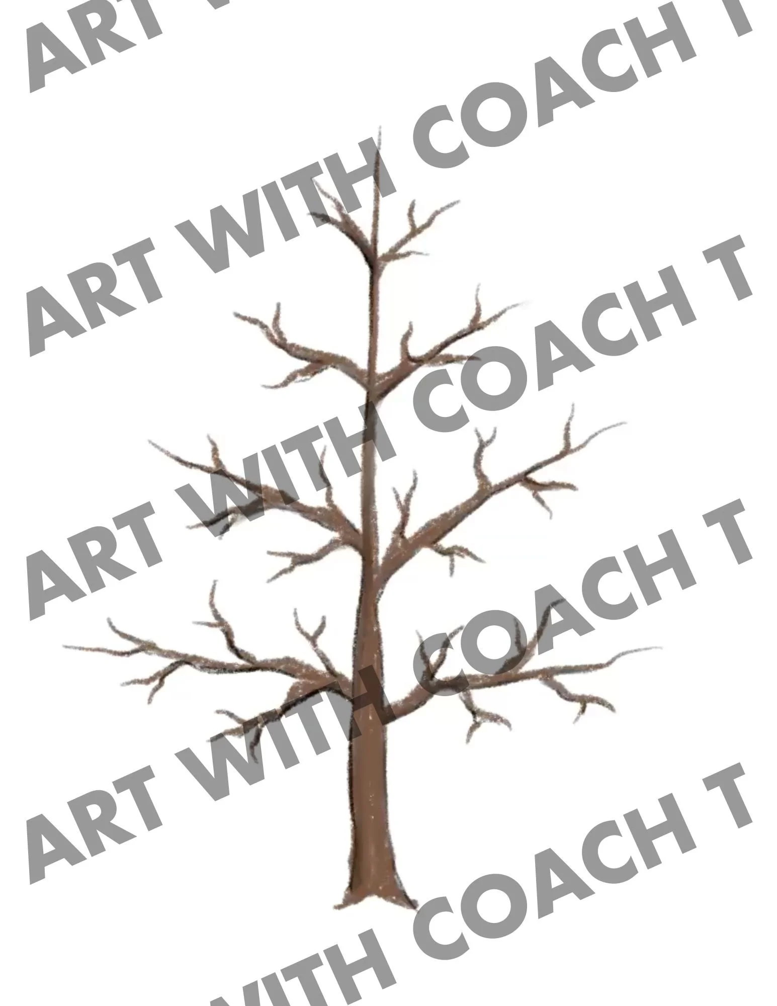 Digital Process Preview.jpg