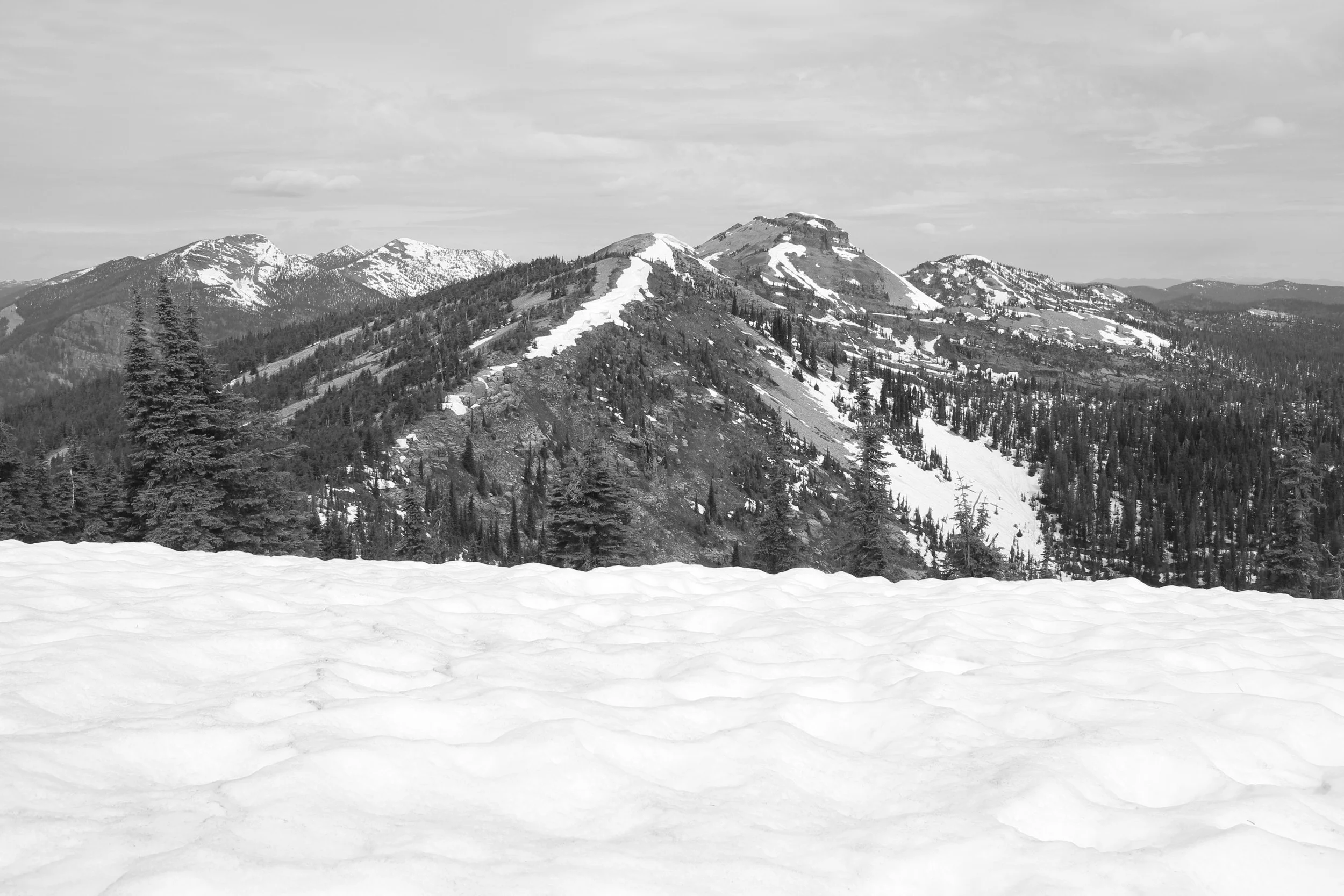 Follow The Snow Line