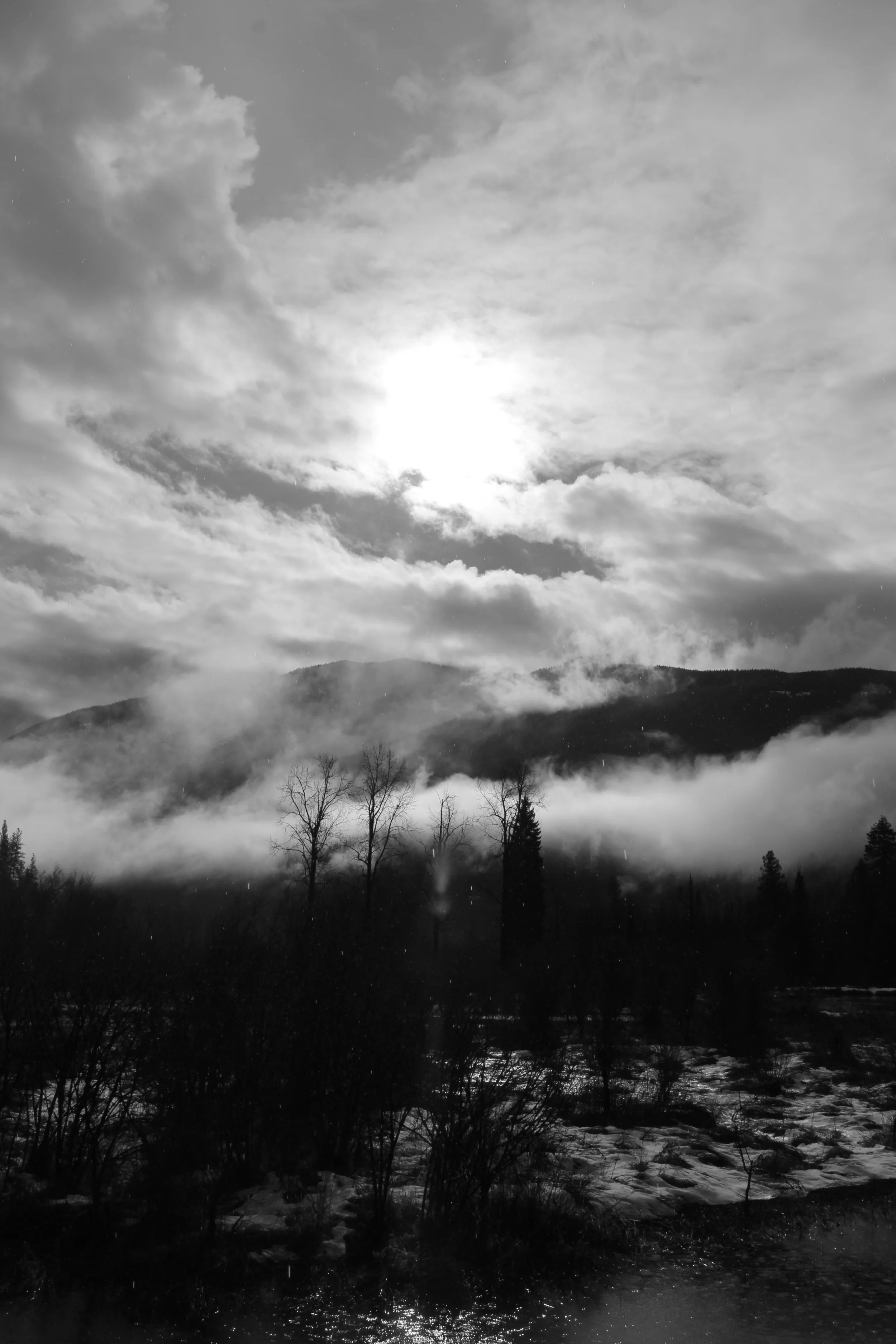 Bull River Dancing Fog
