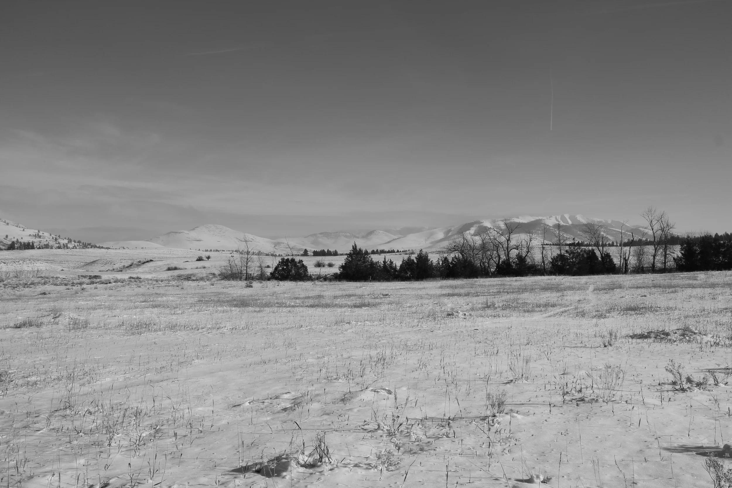 Snow Dust