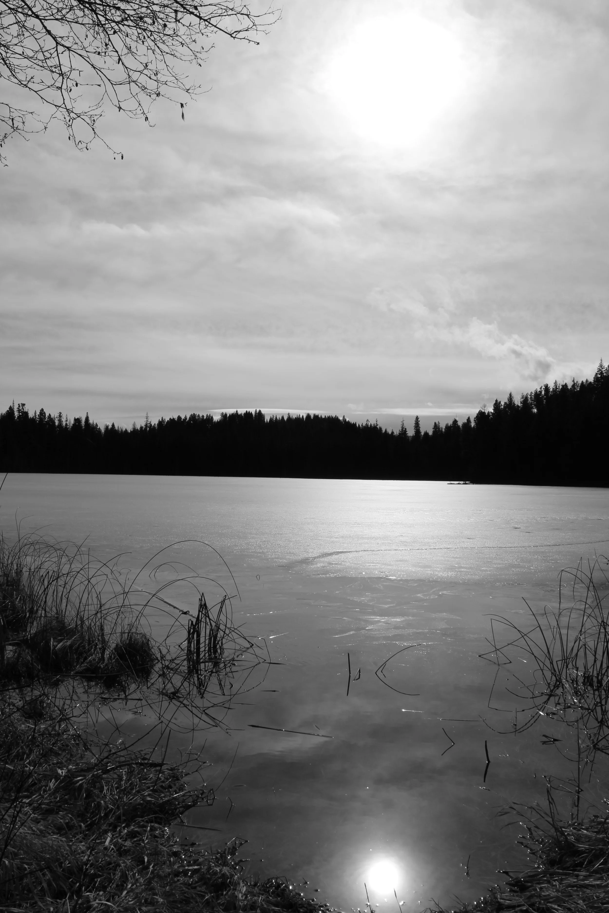 Spring Thaw