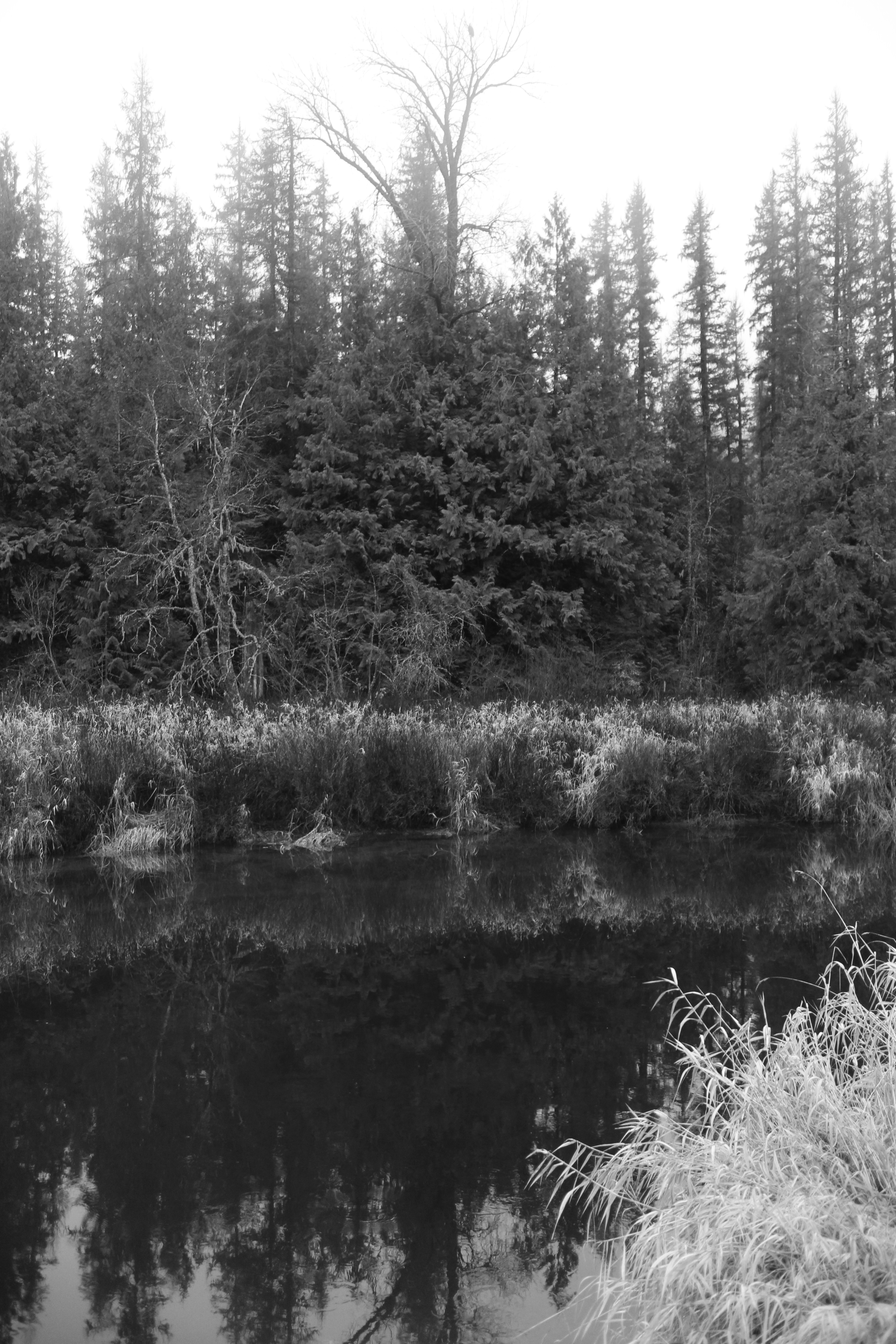 River's Edge