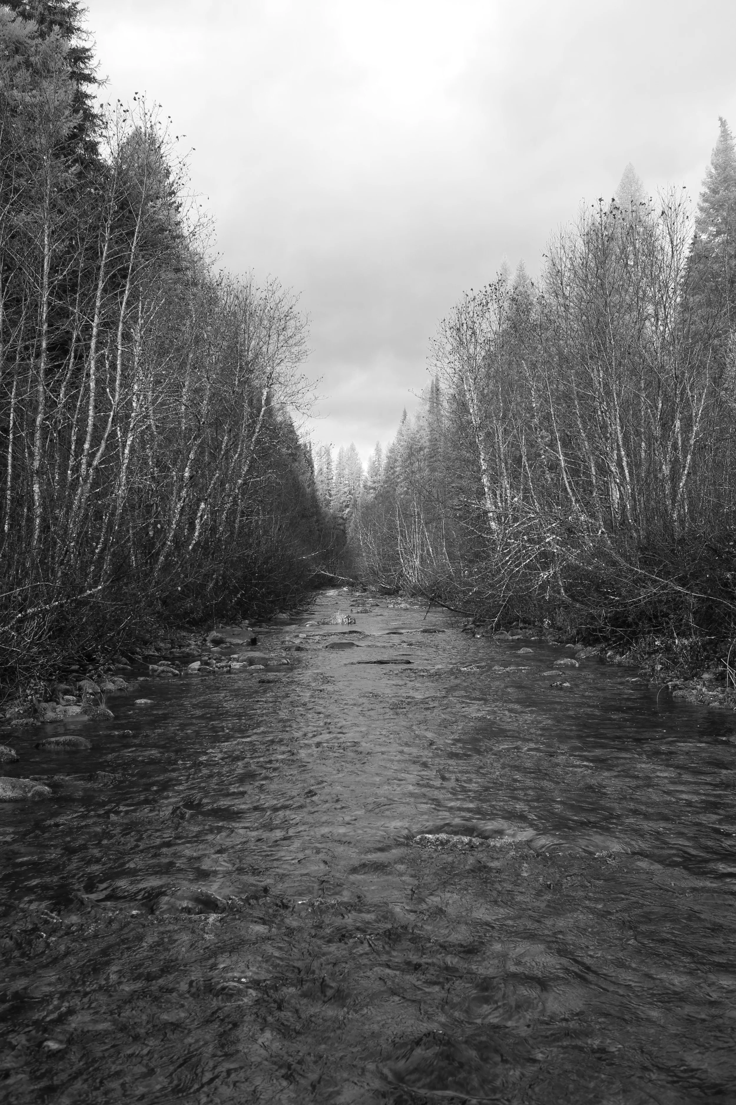 Alder Canyon