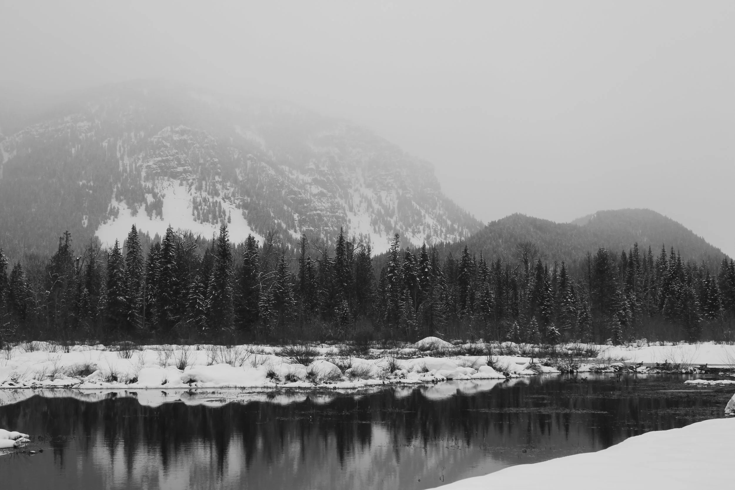 Bad Medicine Fault Scarp