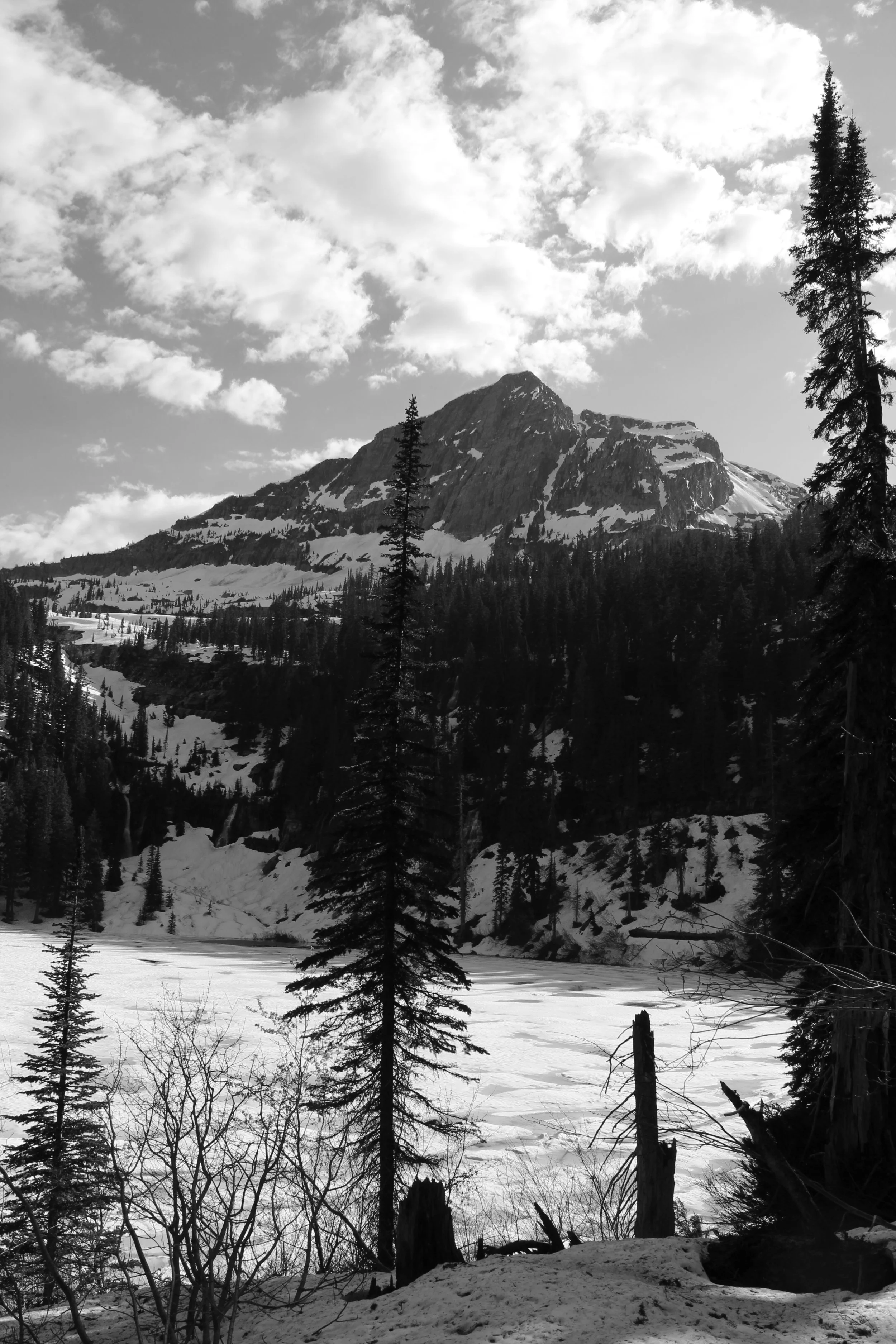 Winter Extends A Long Arm