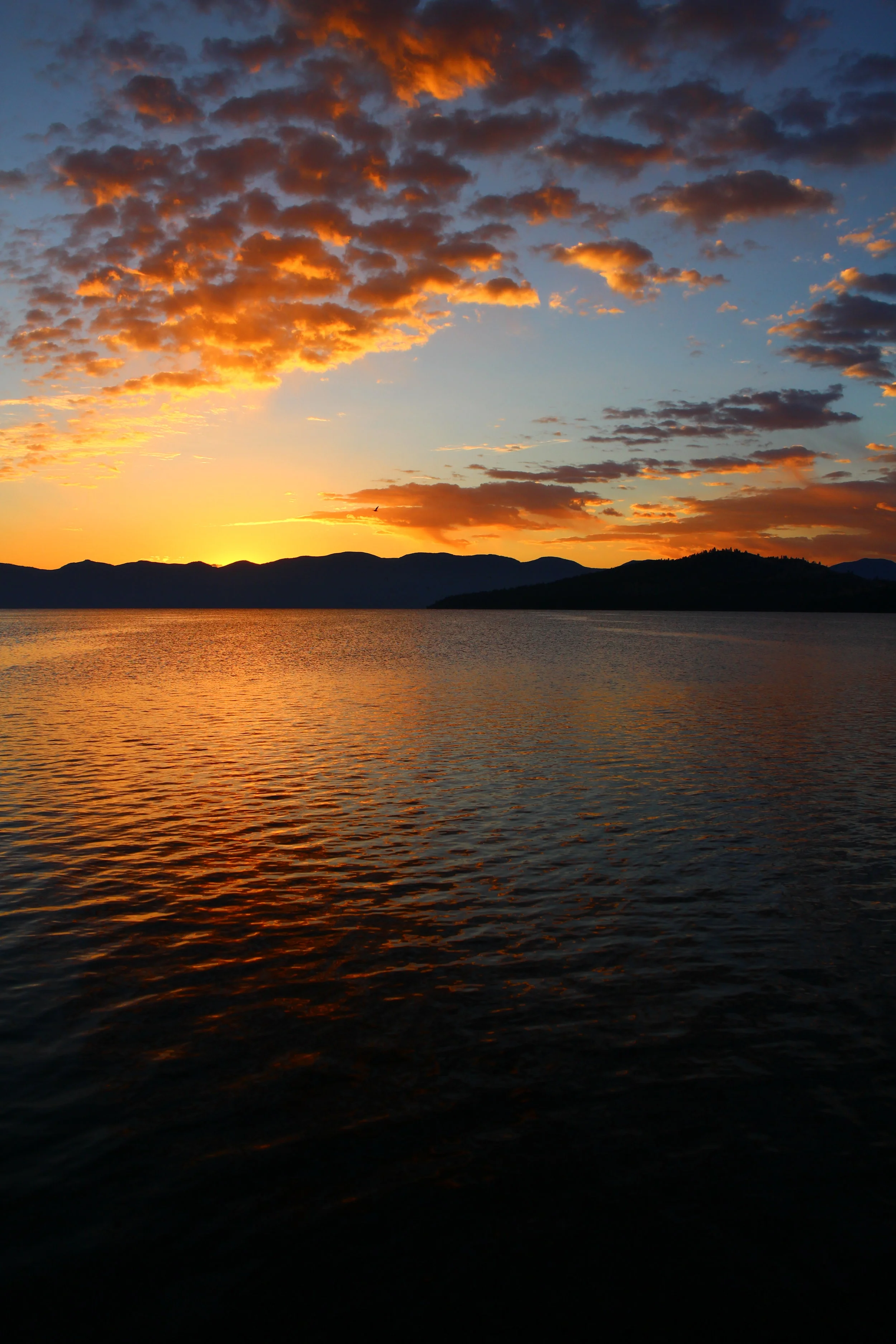 Infinite Possibility