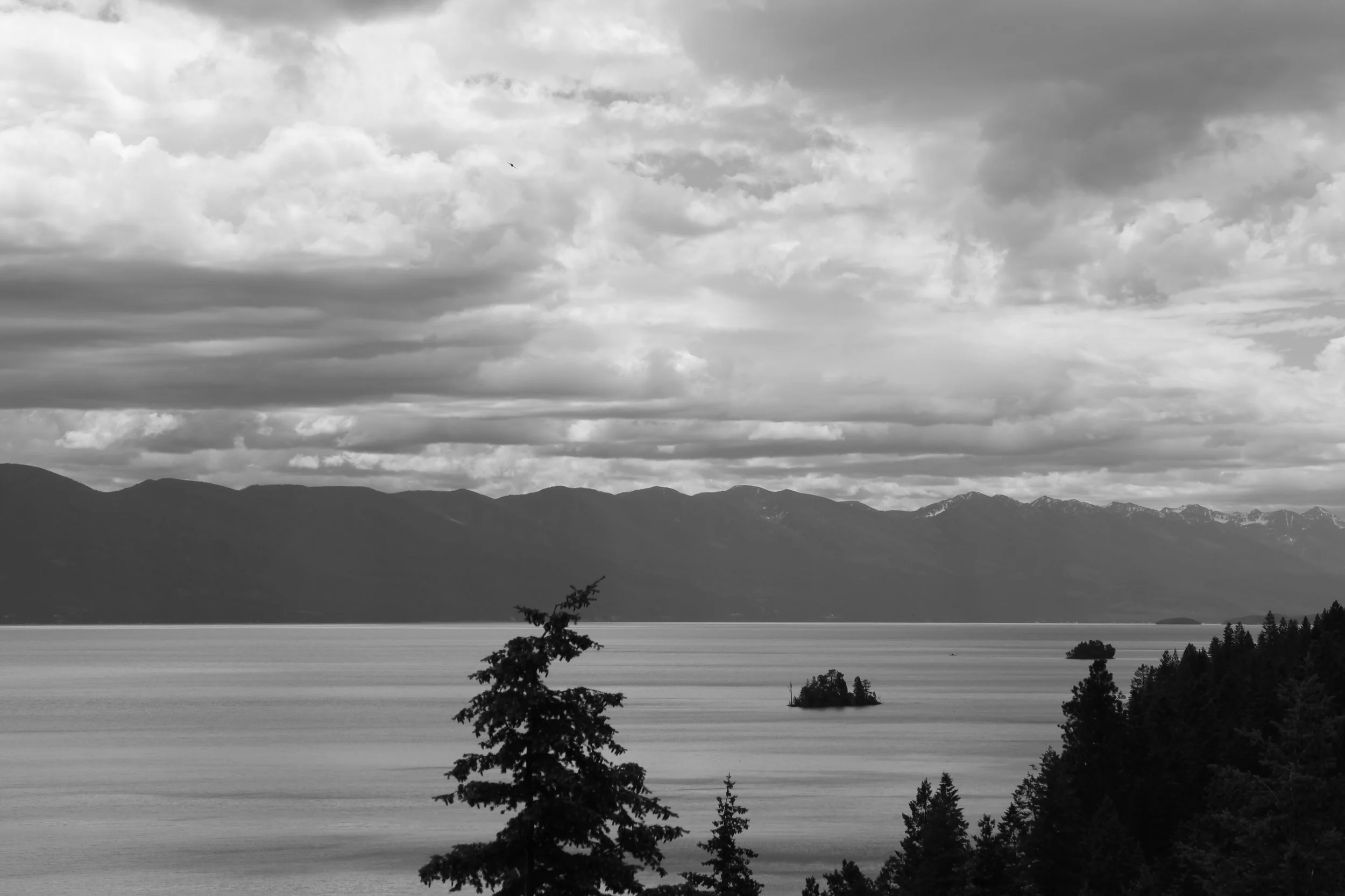 Vastness
