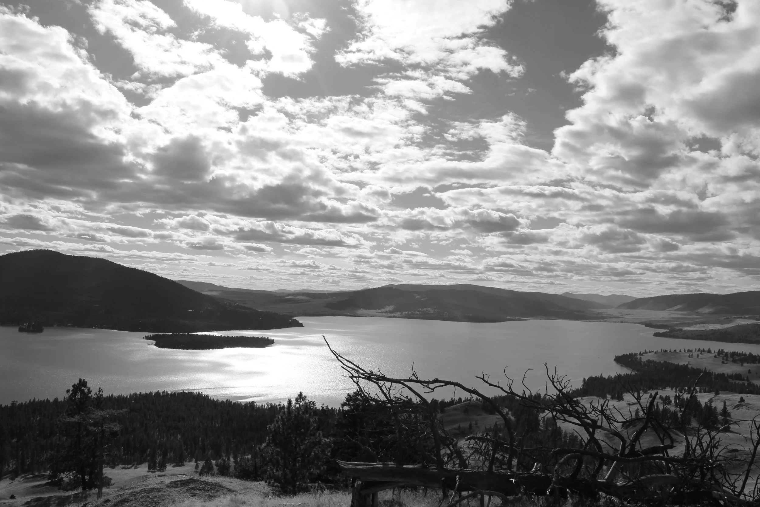 West Winds